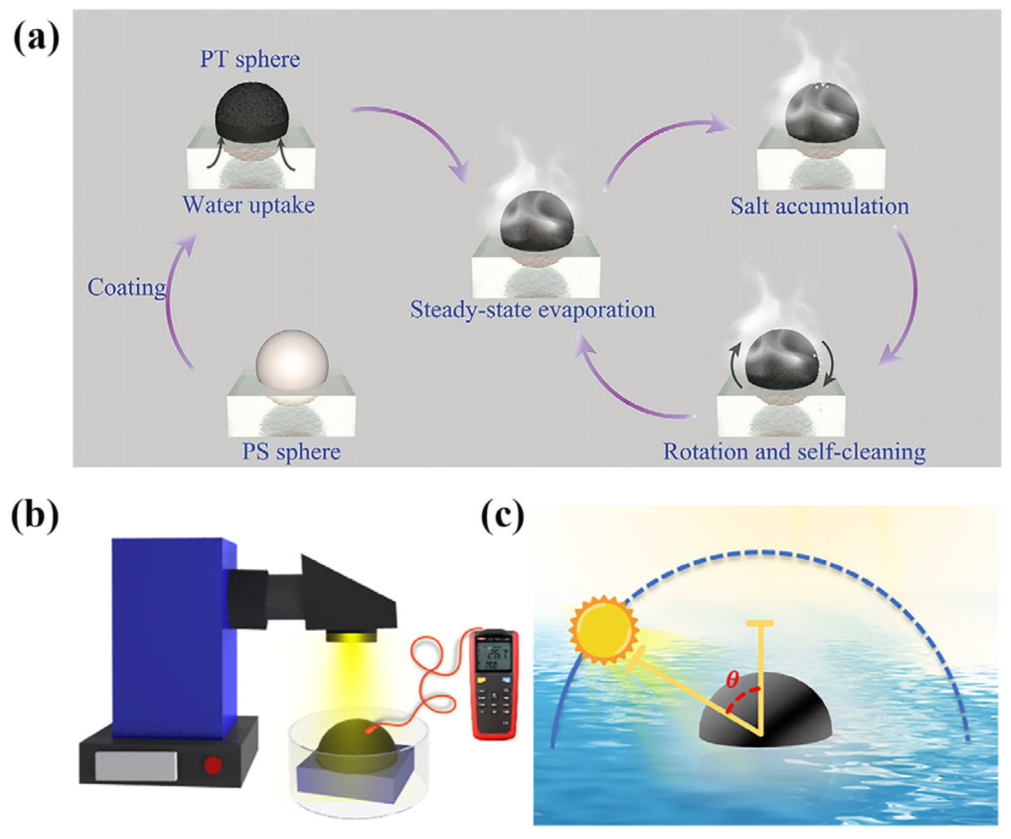 Polymers 15 02742 g009