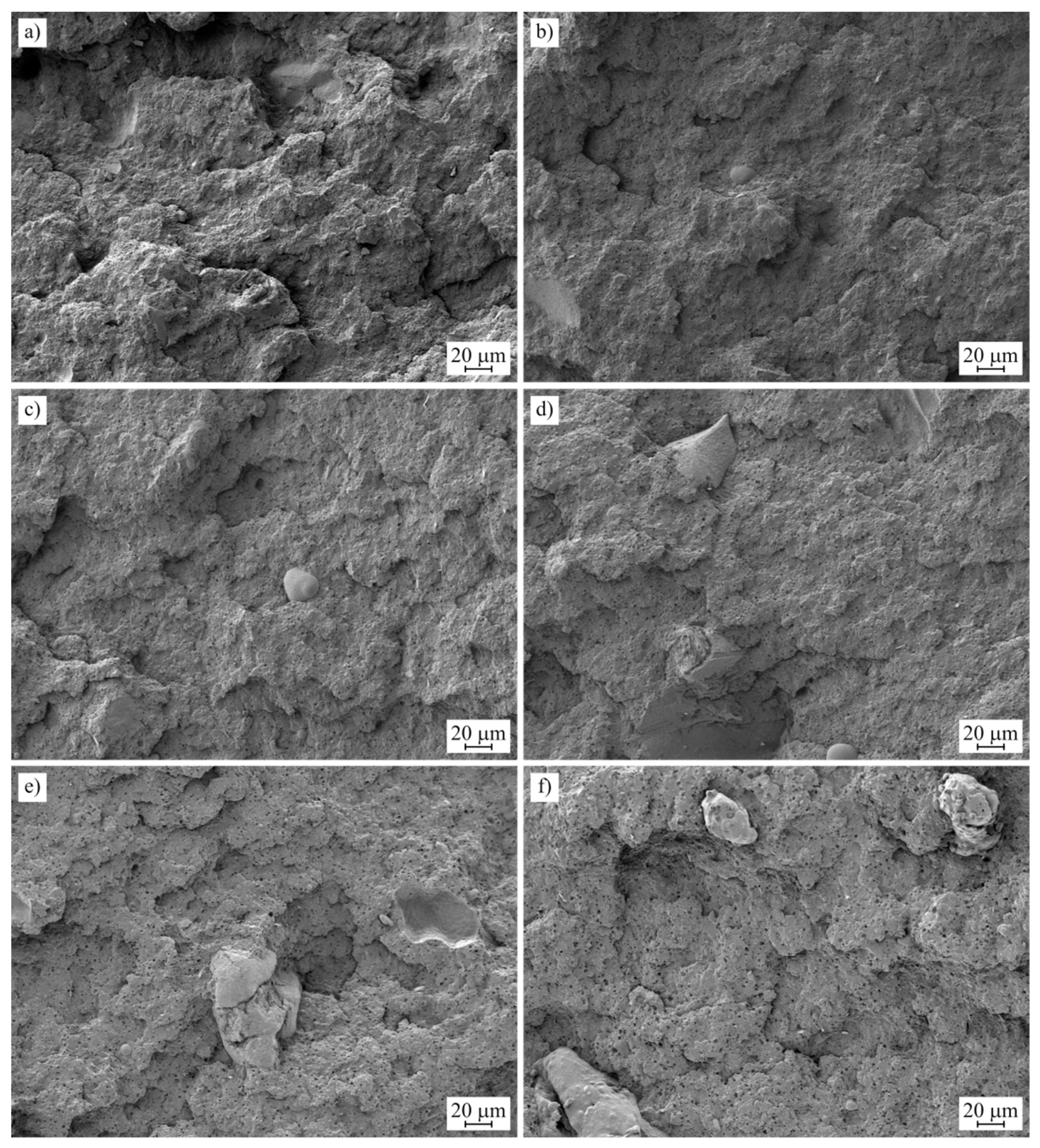 Polymers 15 02743 g002