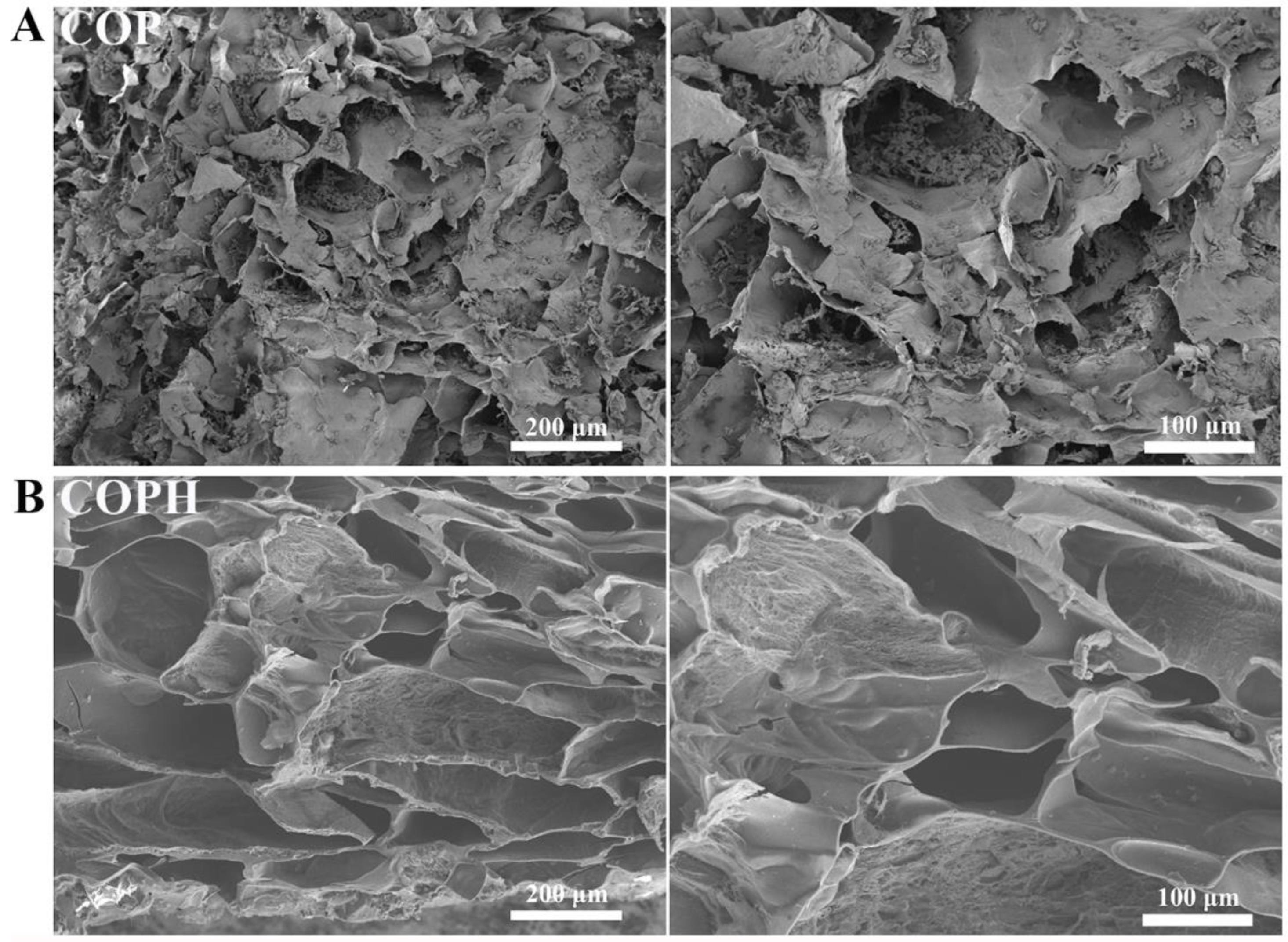 Polymers 15 02744 g003 Polymers 15 02744 g003