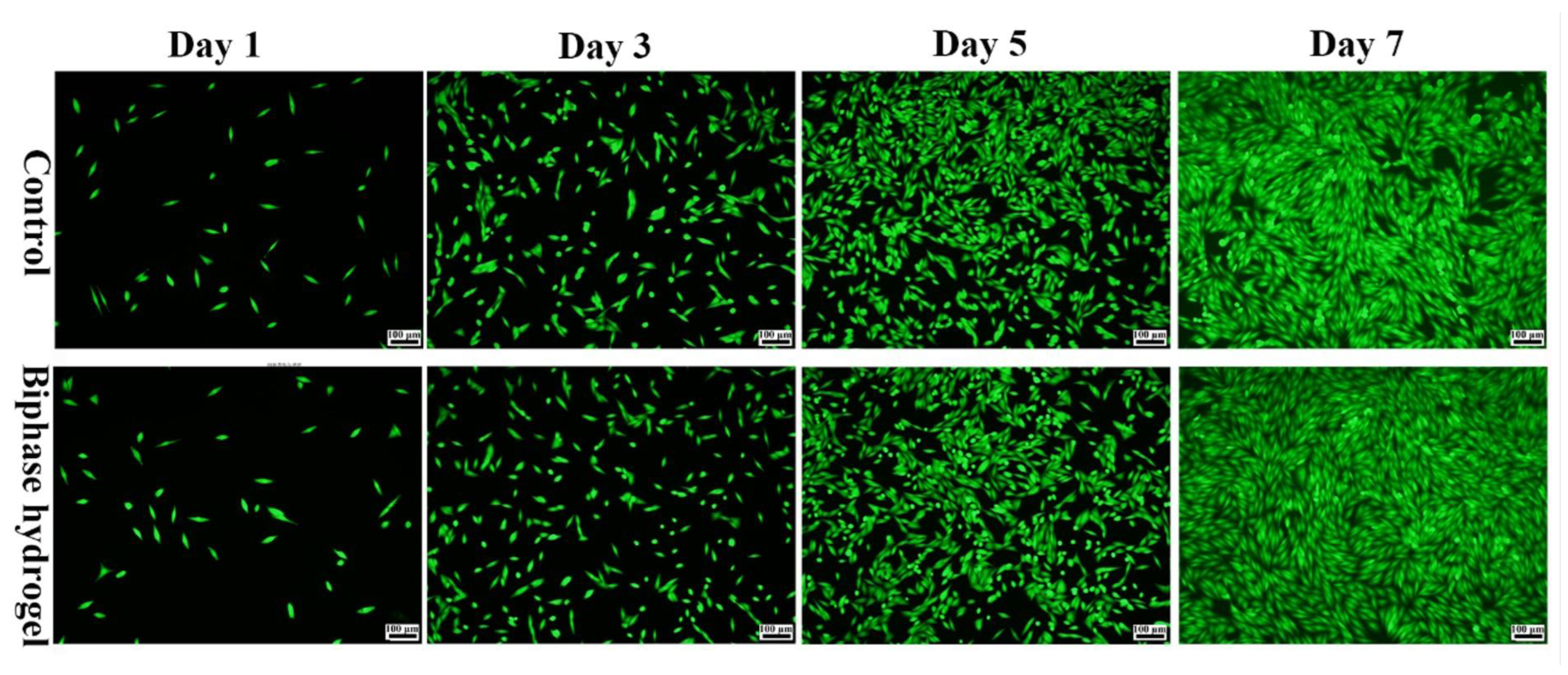 Polymers 15 02744 g009 Polymers 15 02744 g009