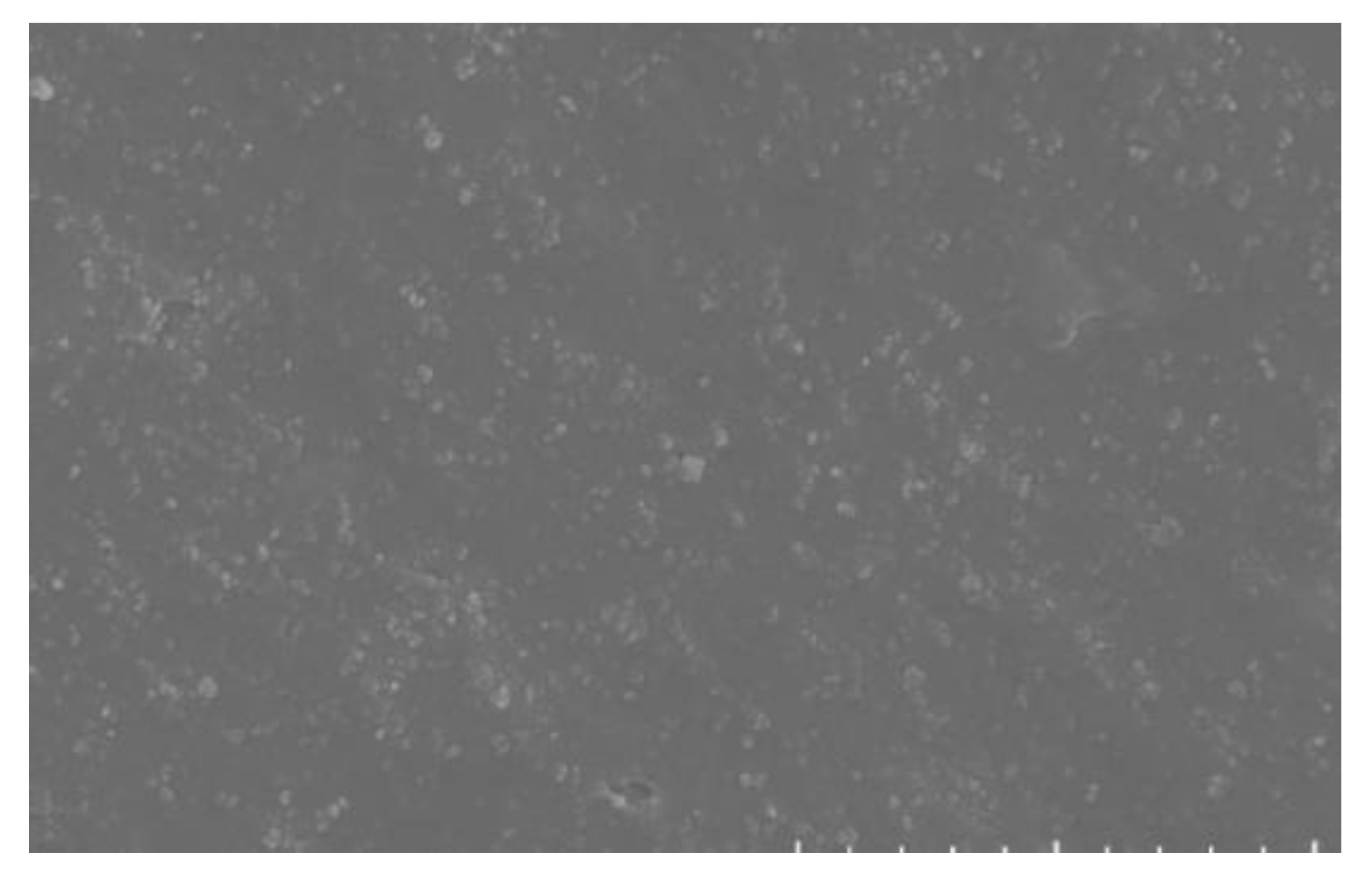 Polymers 15 02746 g028 Polymers 15 02746 g028