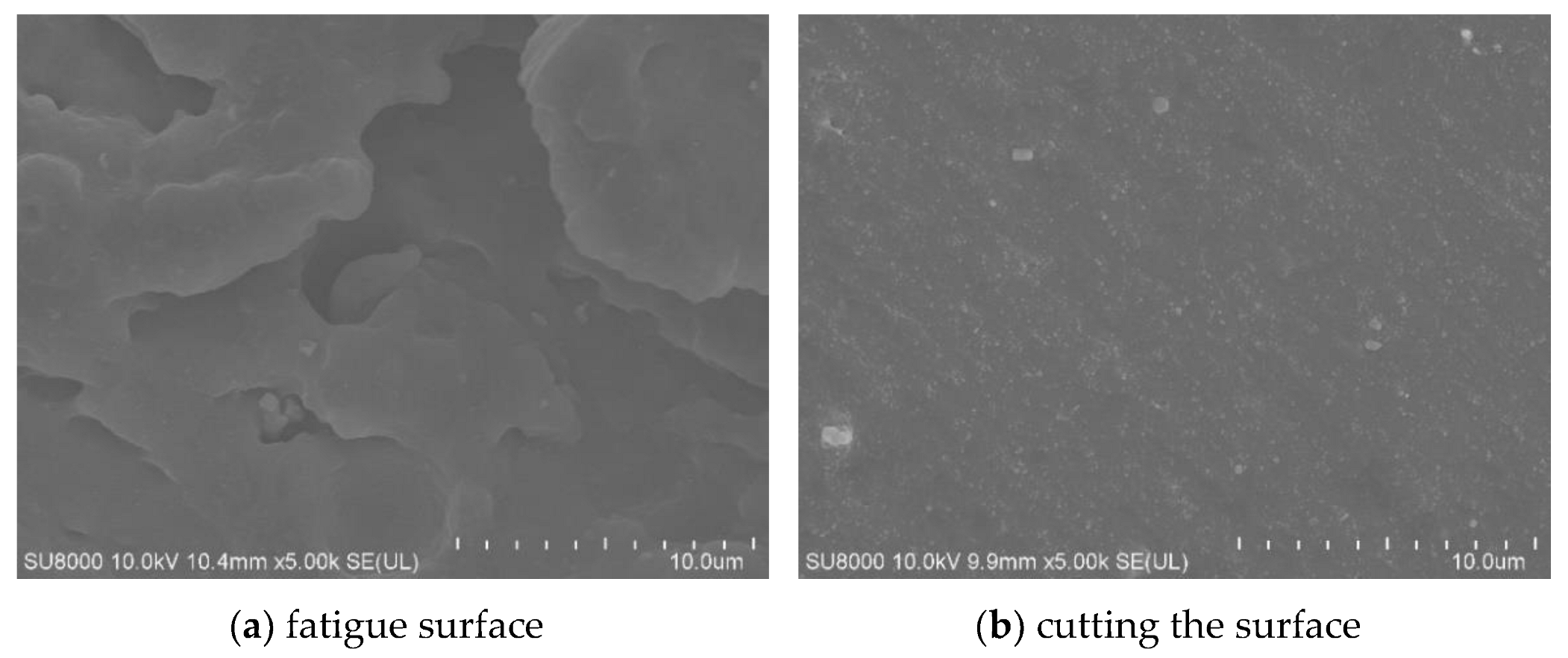 Polymers 15 02746 g032 Polymers 15 02746 g032