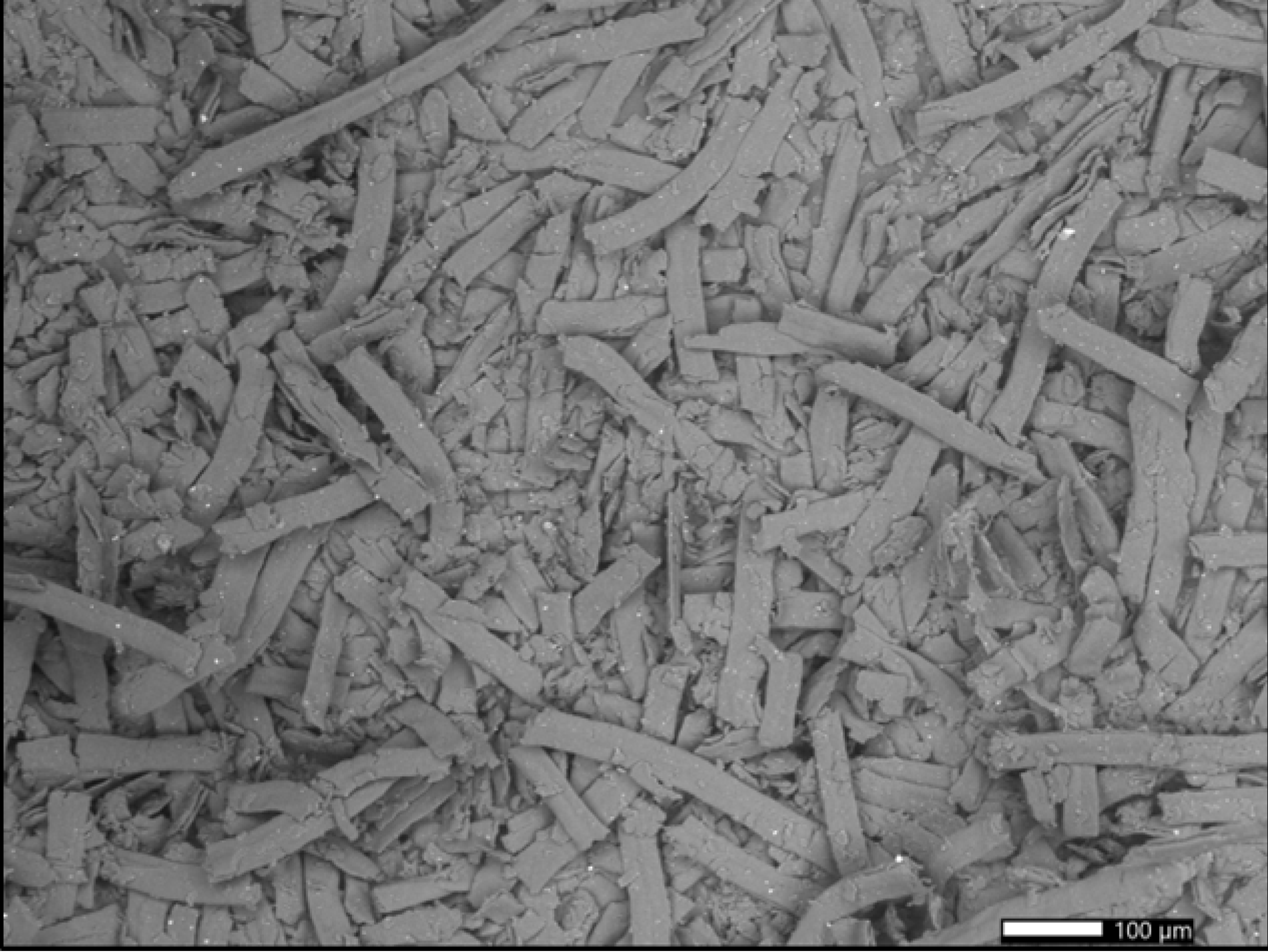Polymers 15 02751 g011