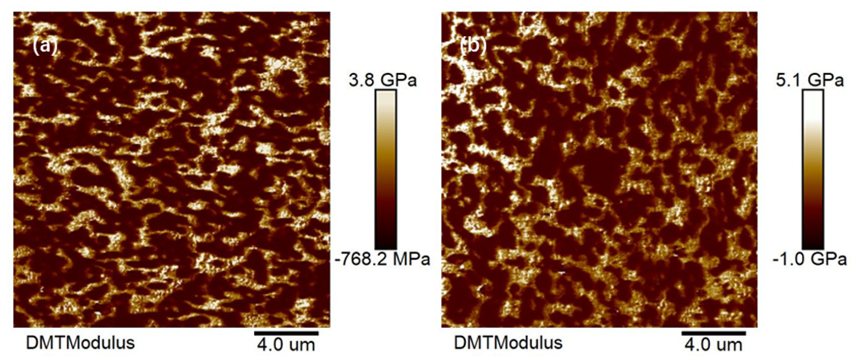 Polymers 15 02753 g002