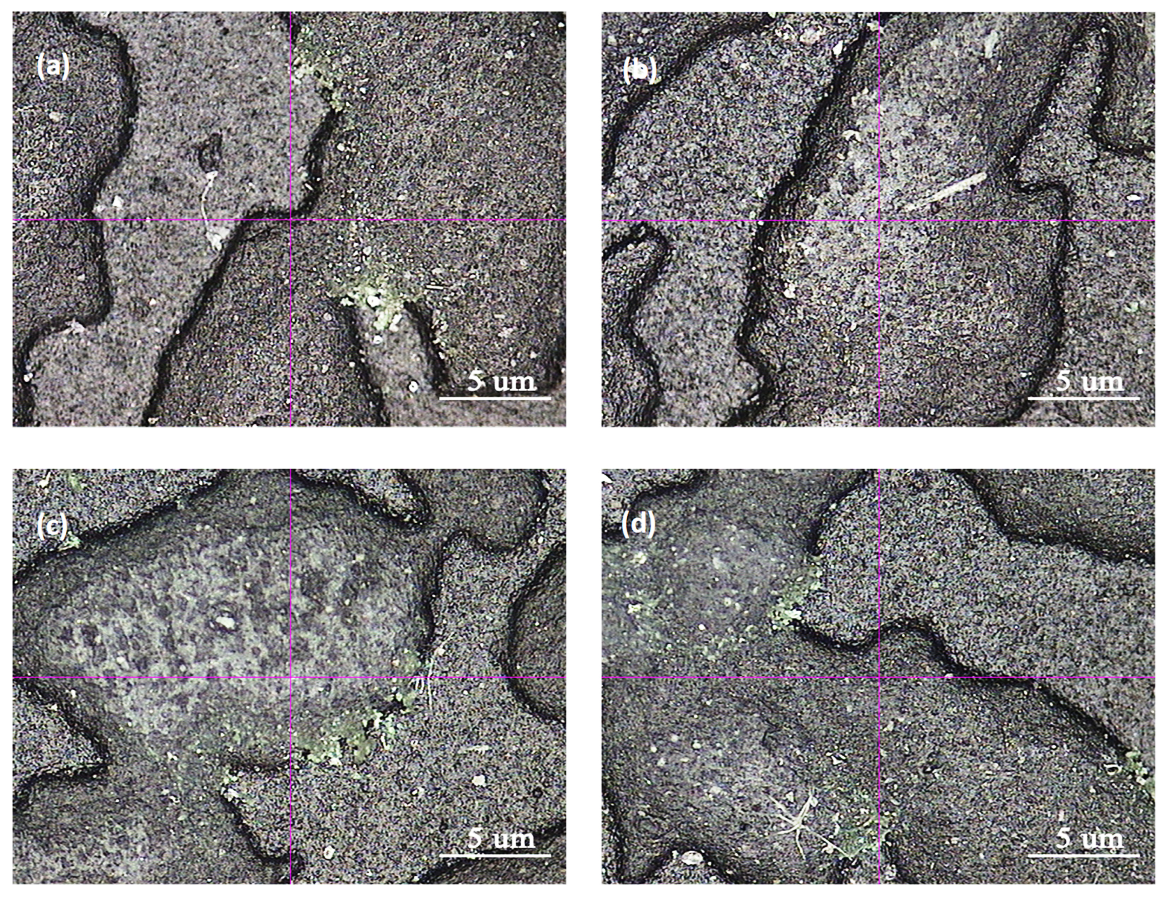 Polymers 15 02753 g005