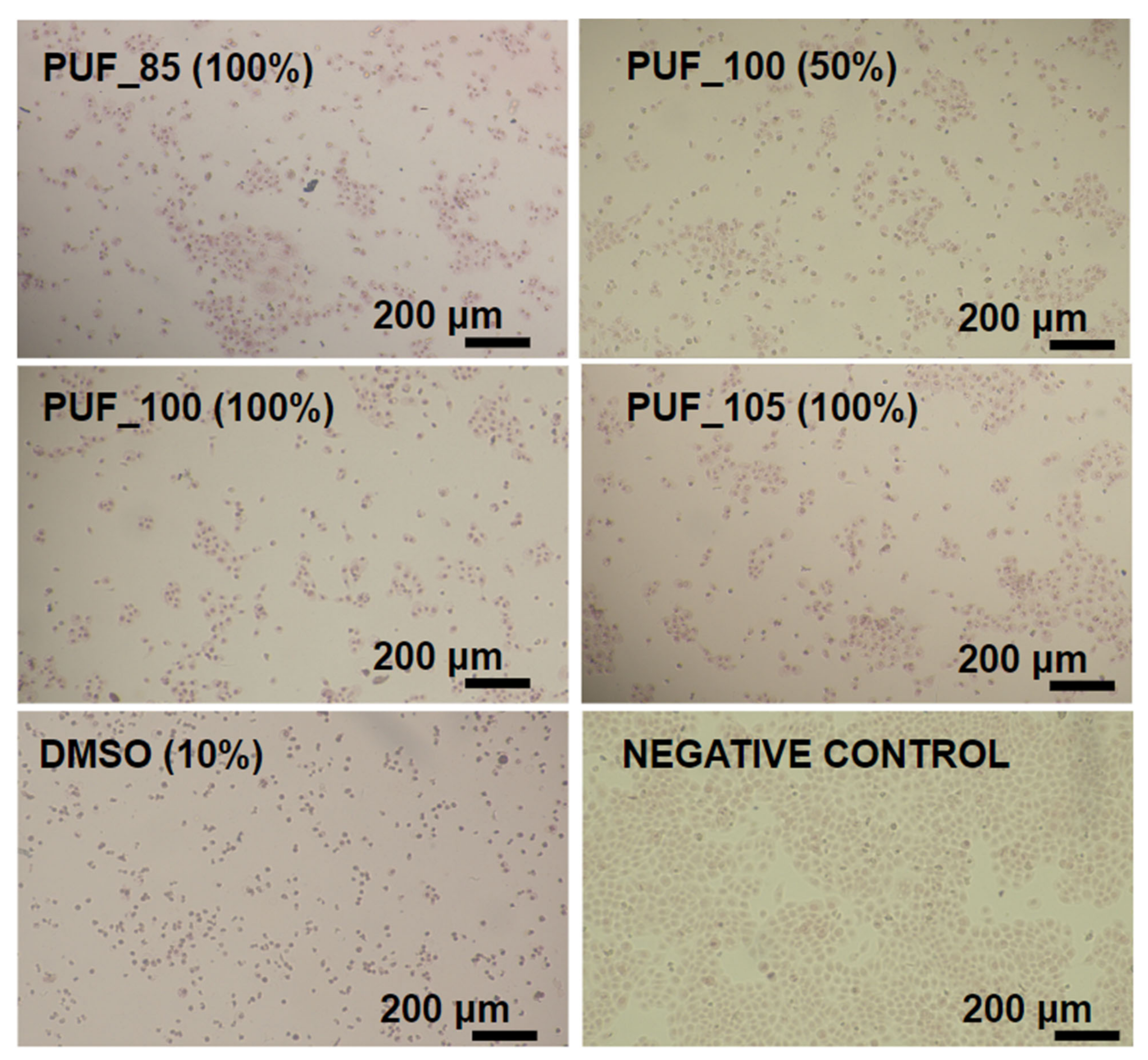Polymers 15 02754 g005