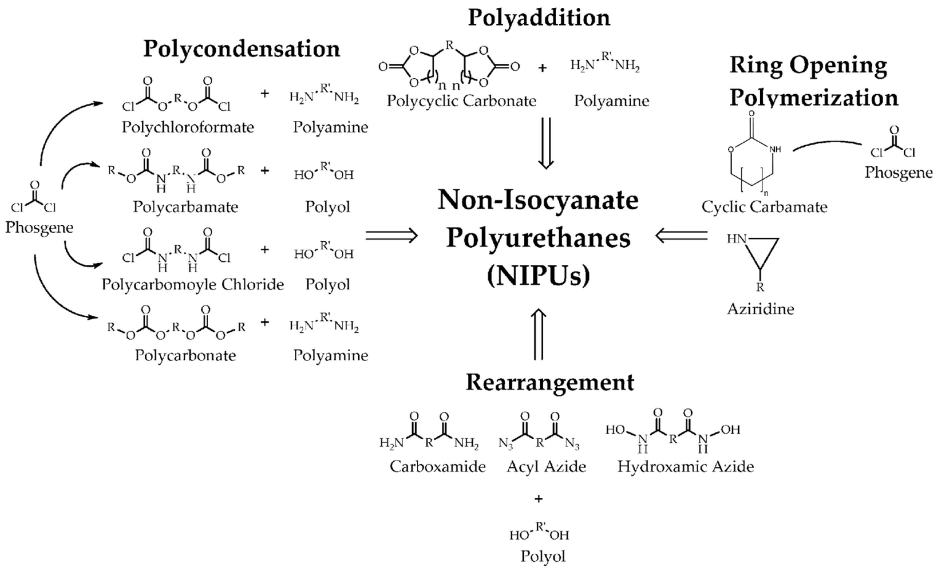 Polymers 15 02755 g004