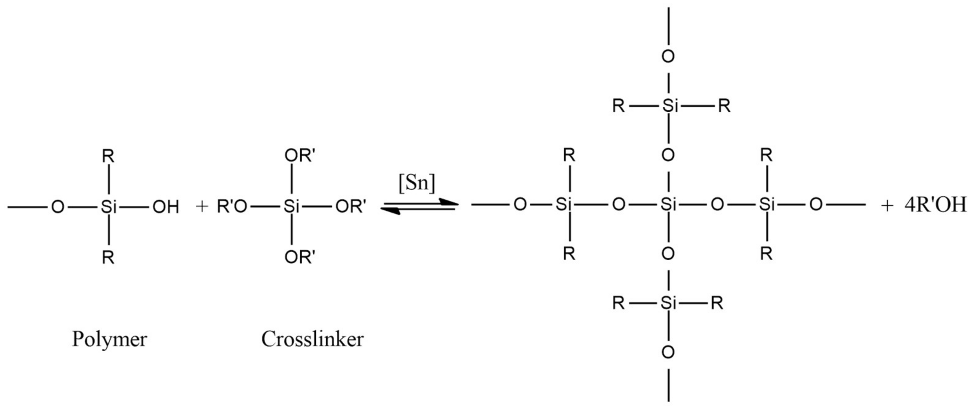 Polymers 15 02755 g007