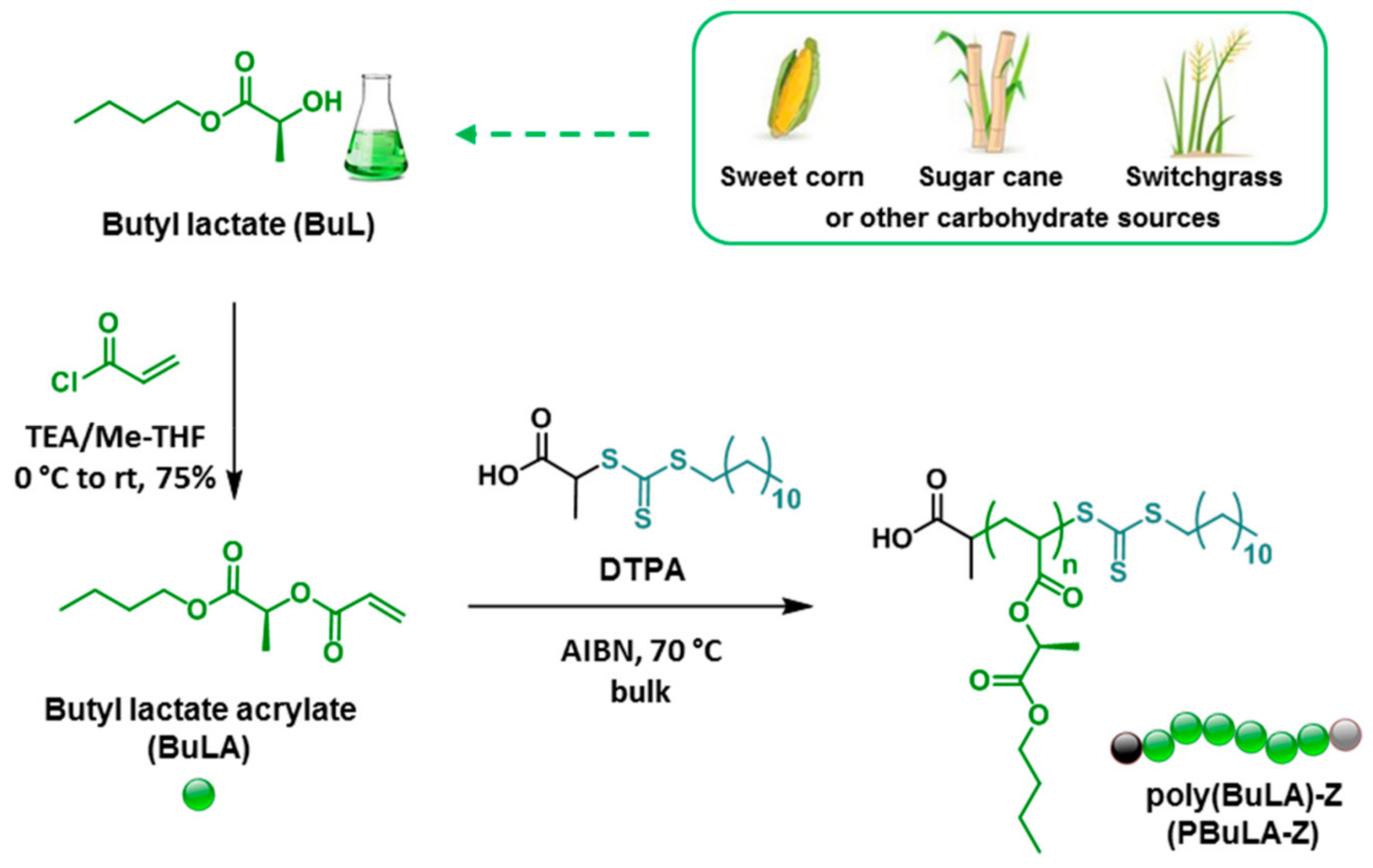 Polymers 15 02755 g012
