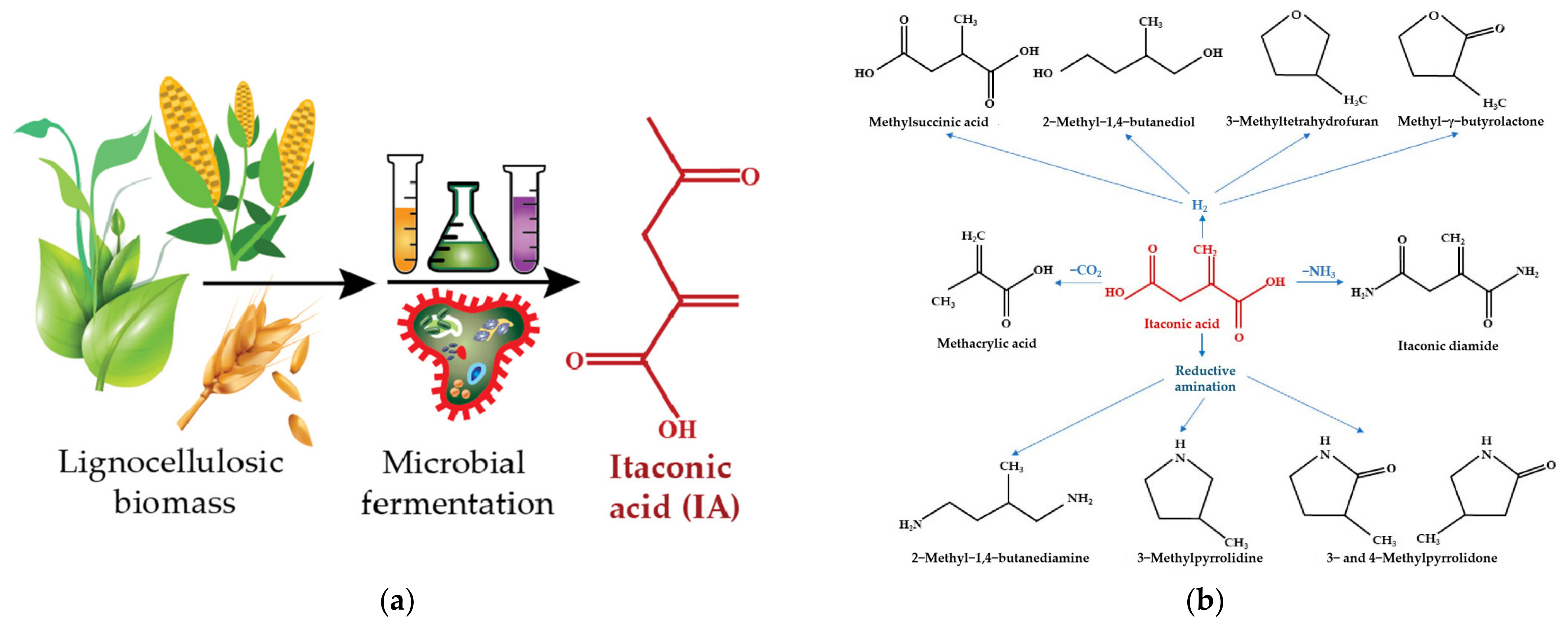 Polymers 15 02755 g014