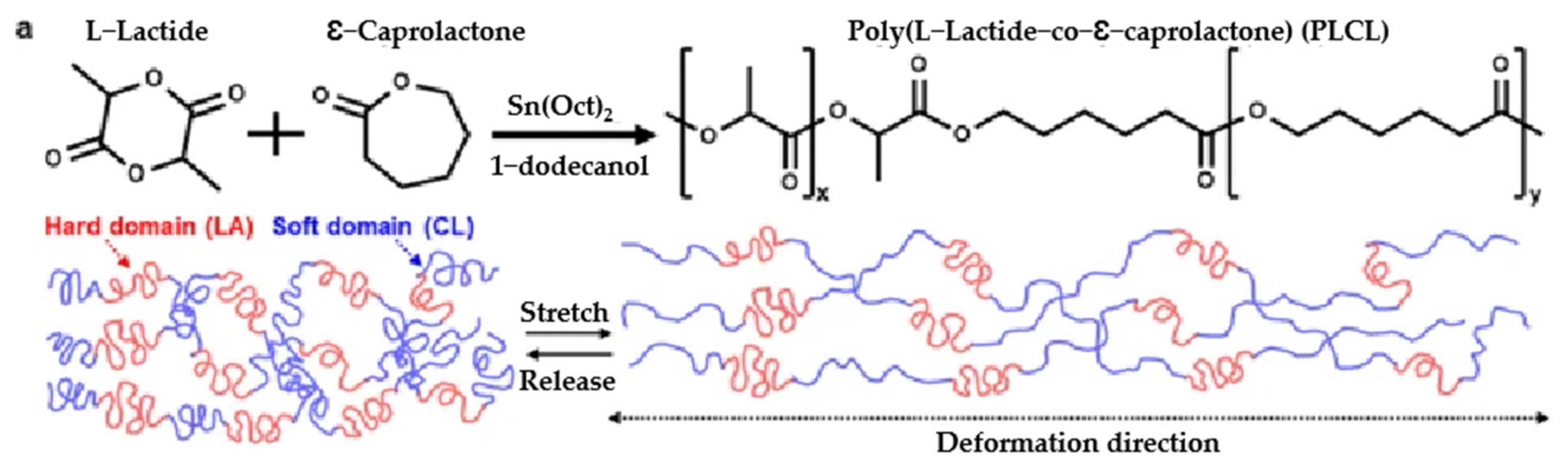 Polymers 15 02755 g016a