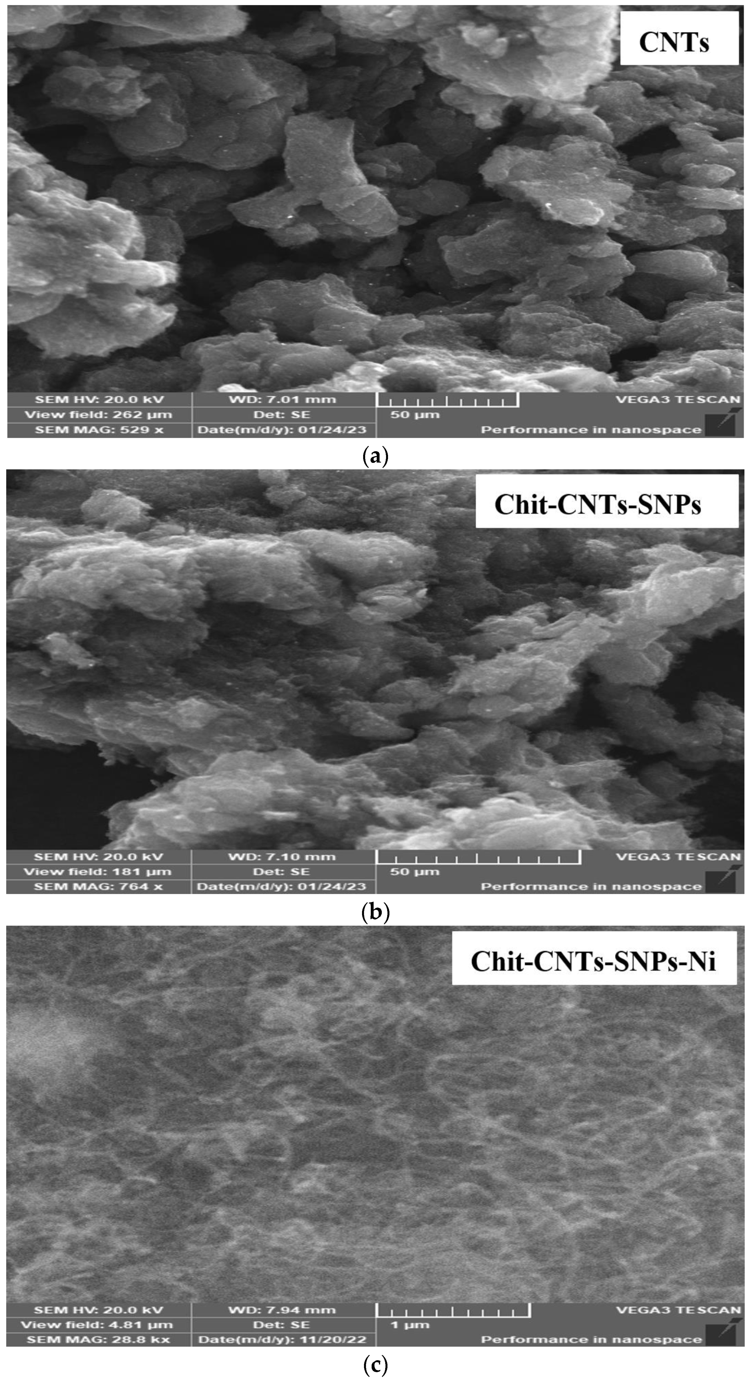 Polymers 15 02759 g006 Polymers 15 02759 g006