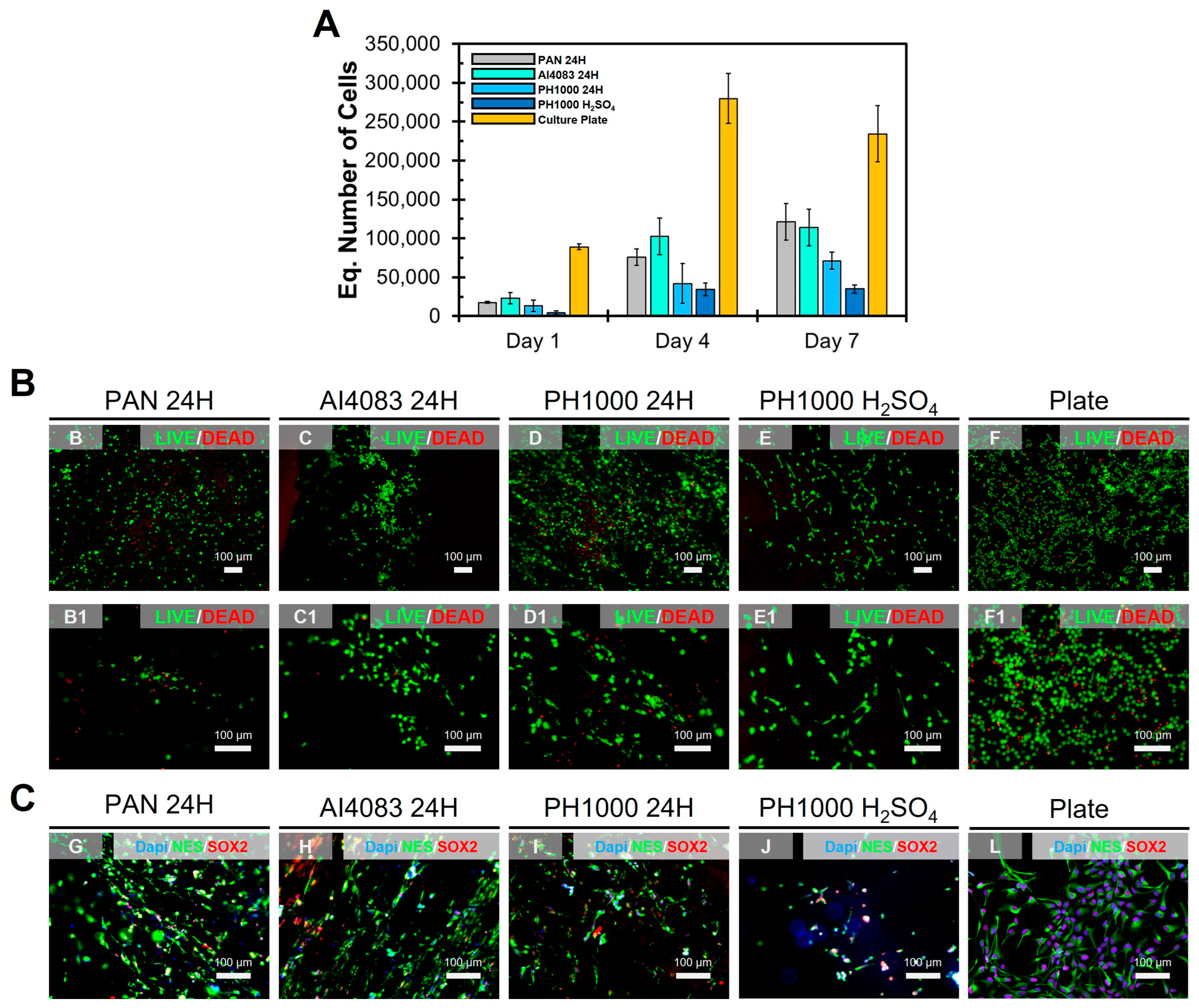 Polymers 15 02760 g007