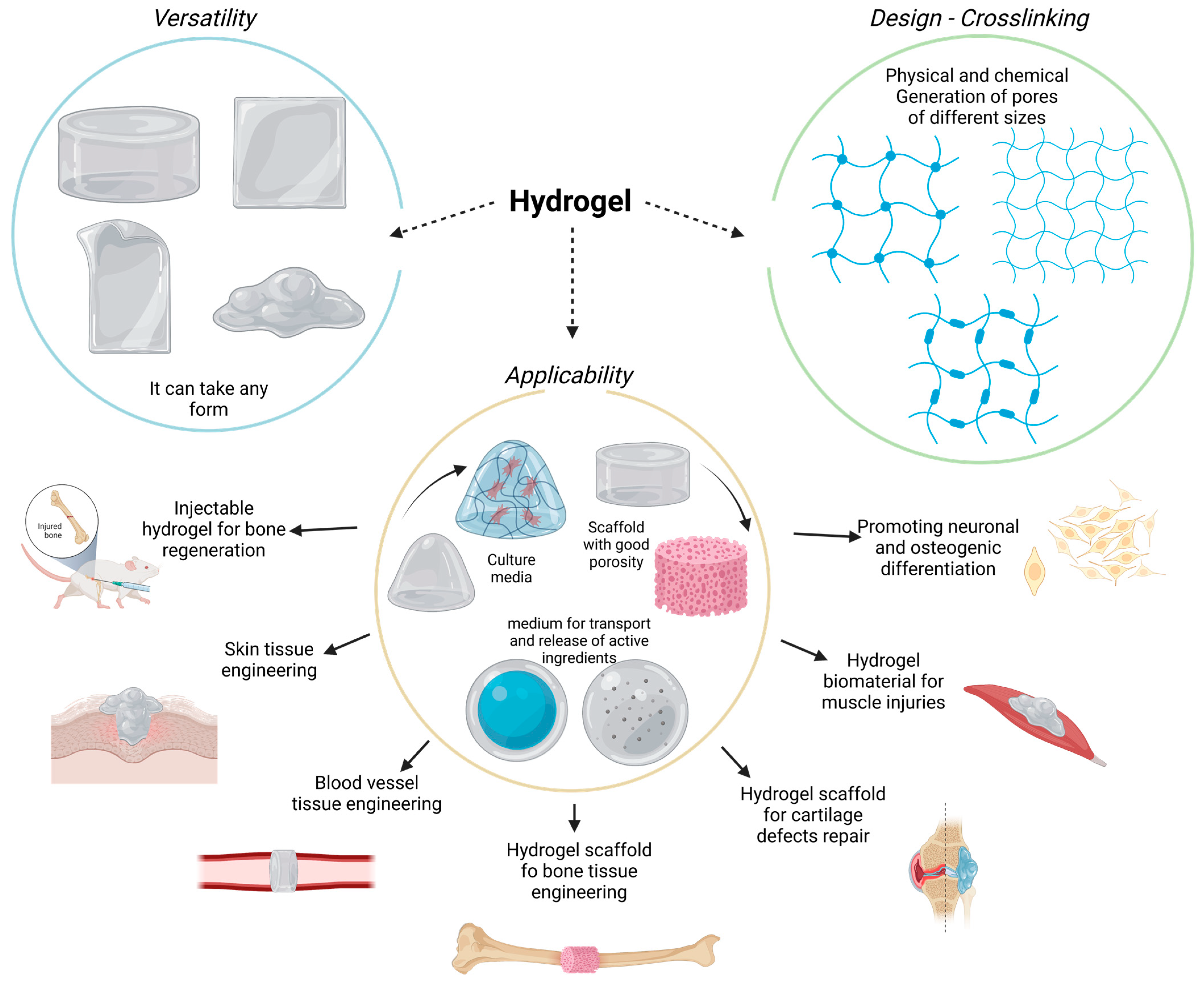 Chitosan for bone health Chitosan for bone health