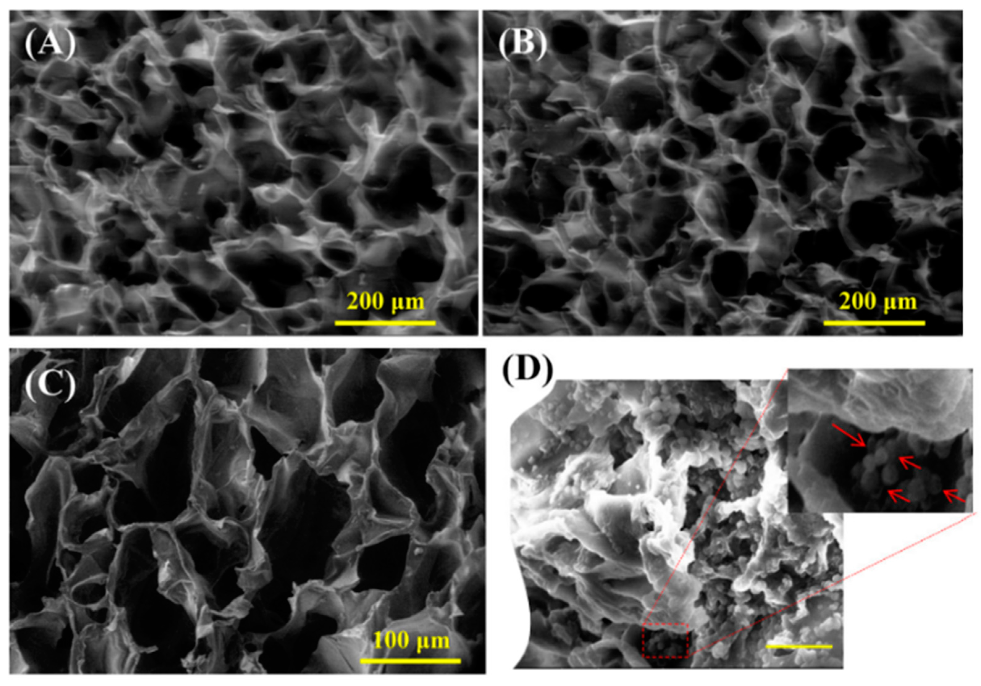 Polymers 15 02762 g005 Polymers 15 02762 g005