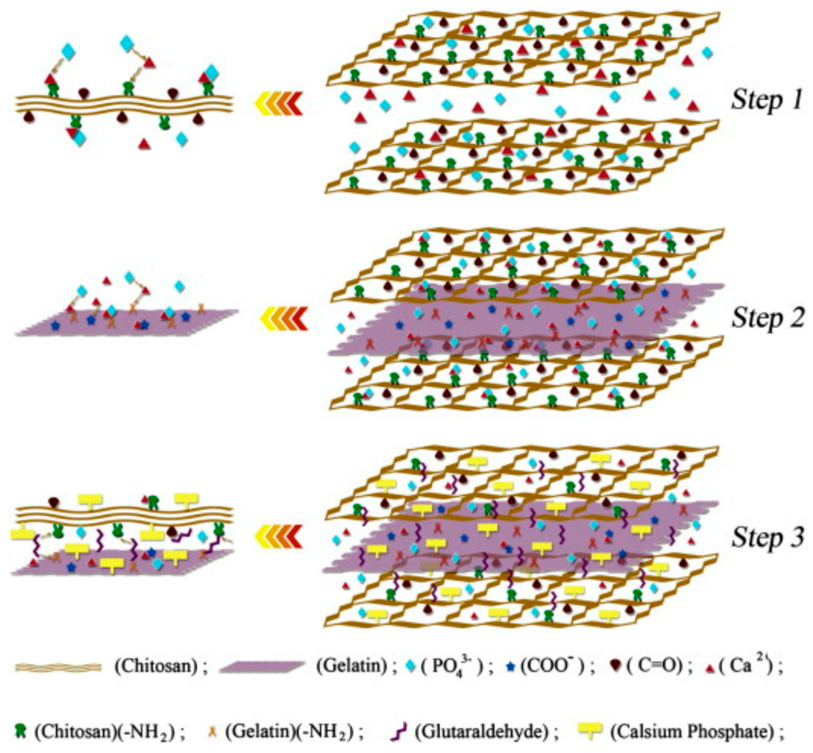 Polymers 15 02762 g008a Polymers 15 02762 g008a