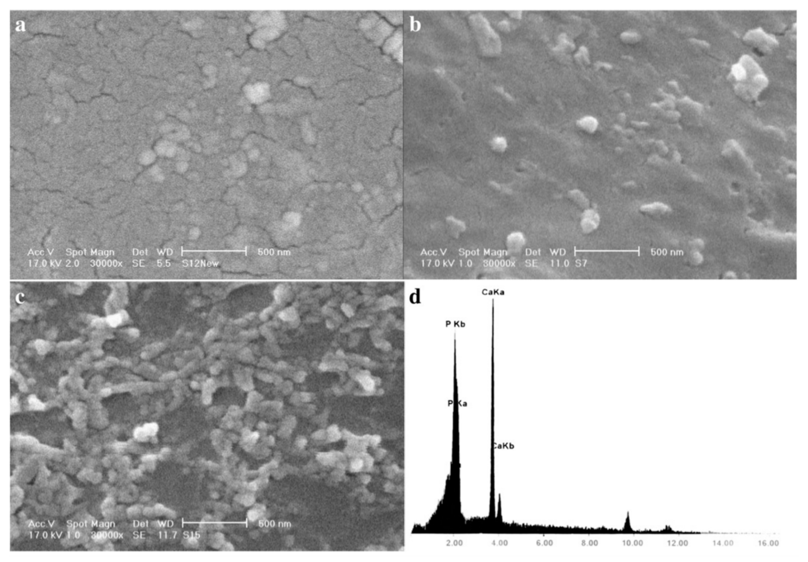 Polymers 15 02762 g008b Polymers 15 02762 g008b