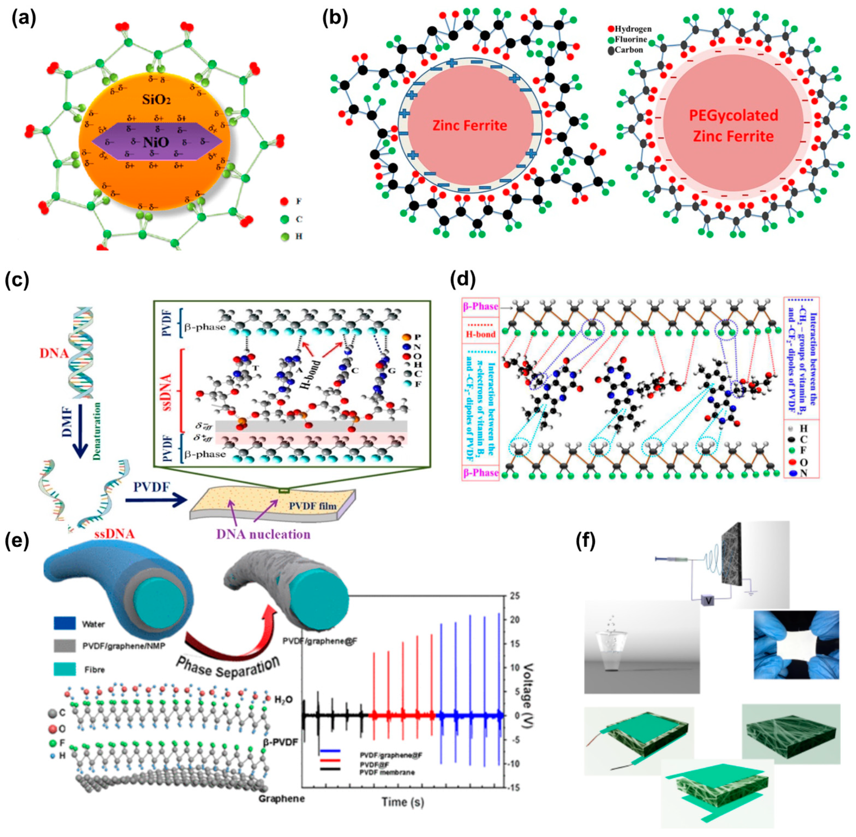 Polymers 15 02766 g005 Polymers 15 02766 g005