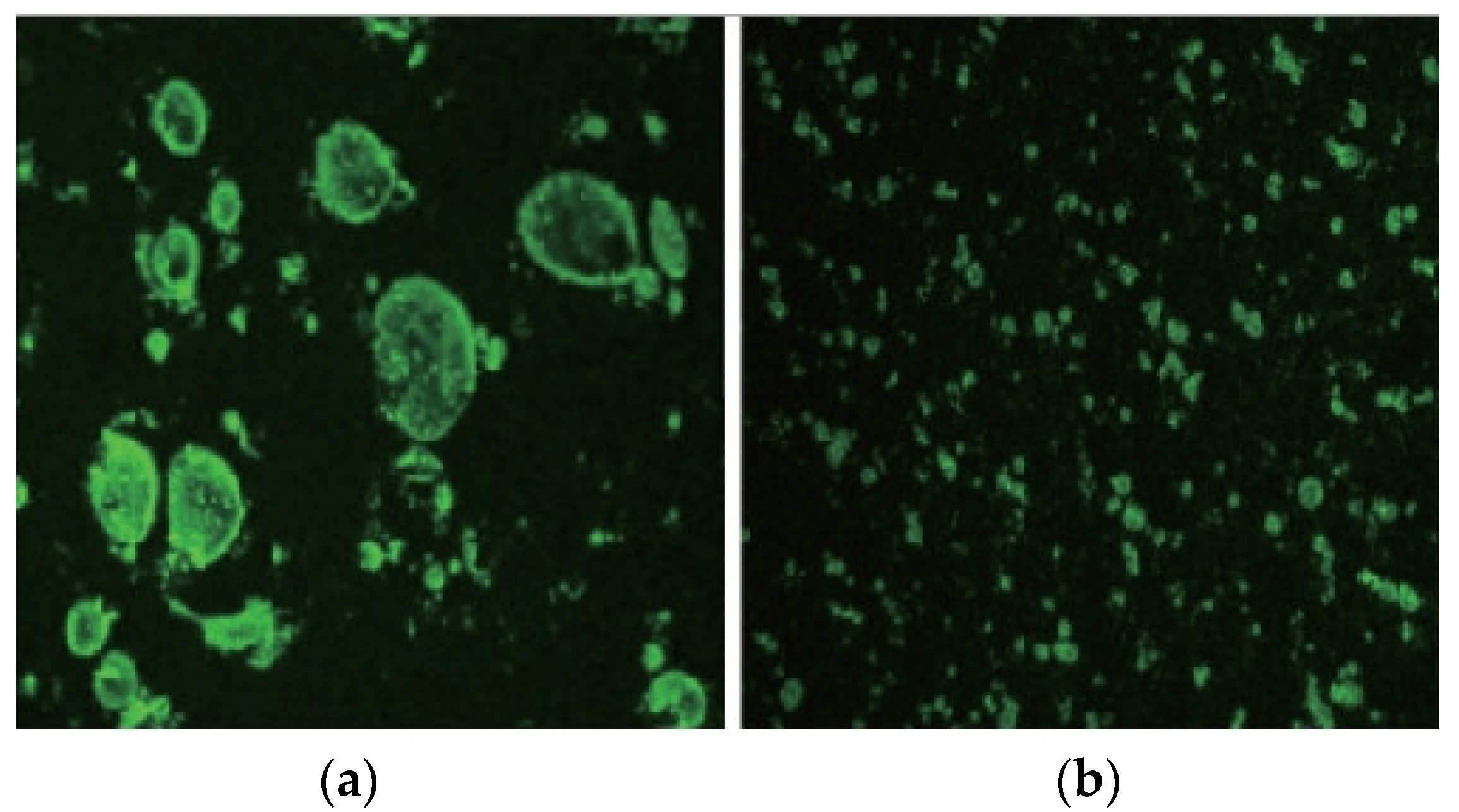 Polymers 15 02768 g004 Polymers 15 02768 g004