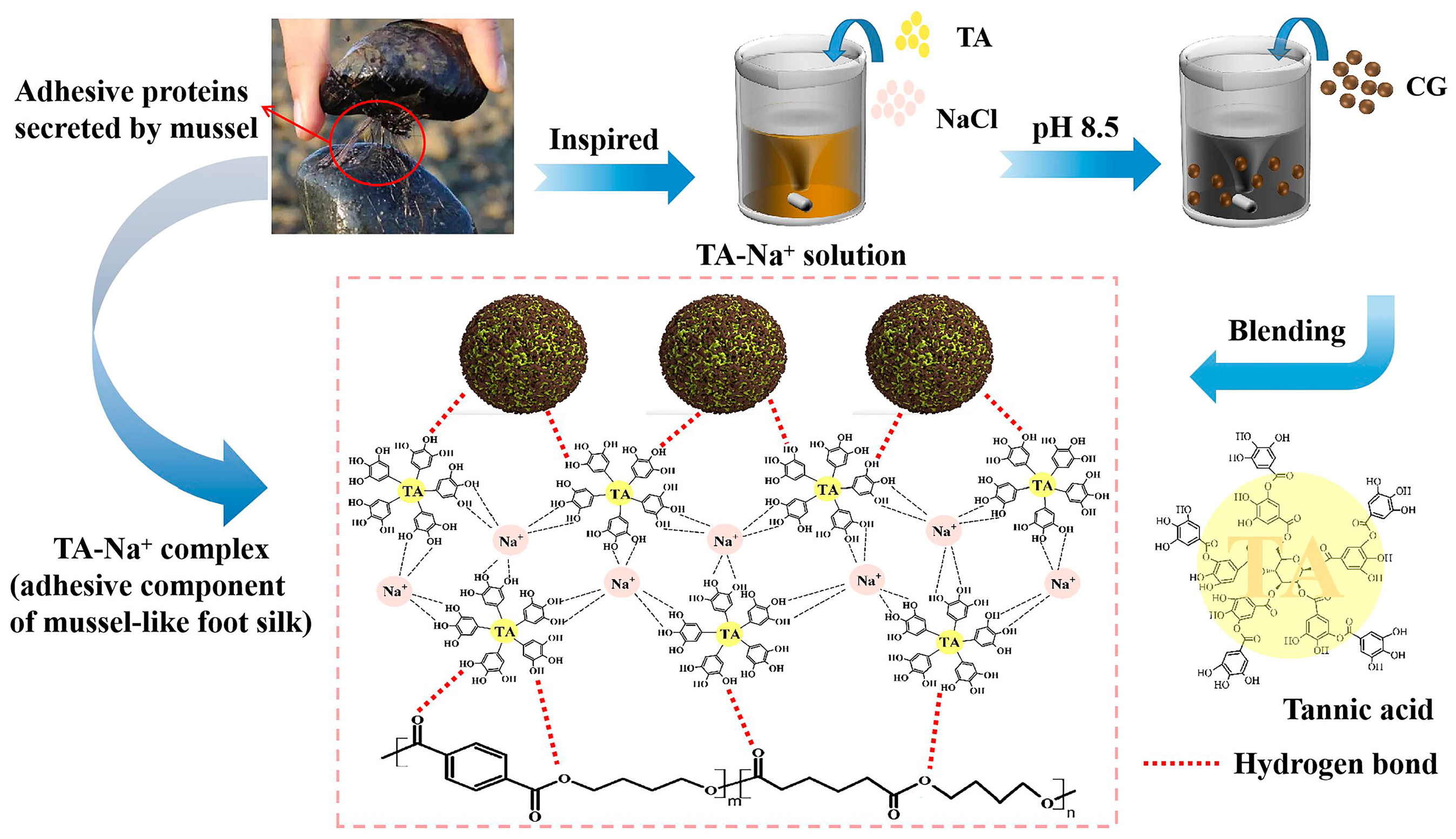 Polymers 15 02769 g001 Polymers 15 02769 g001