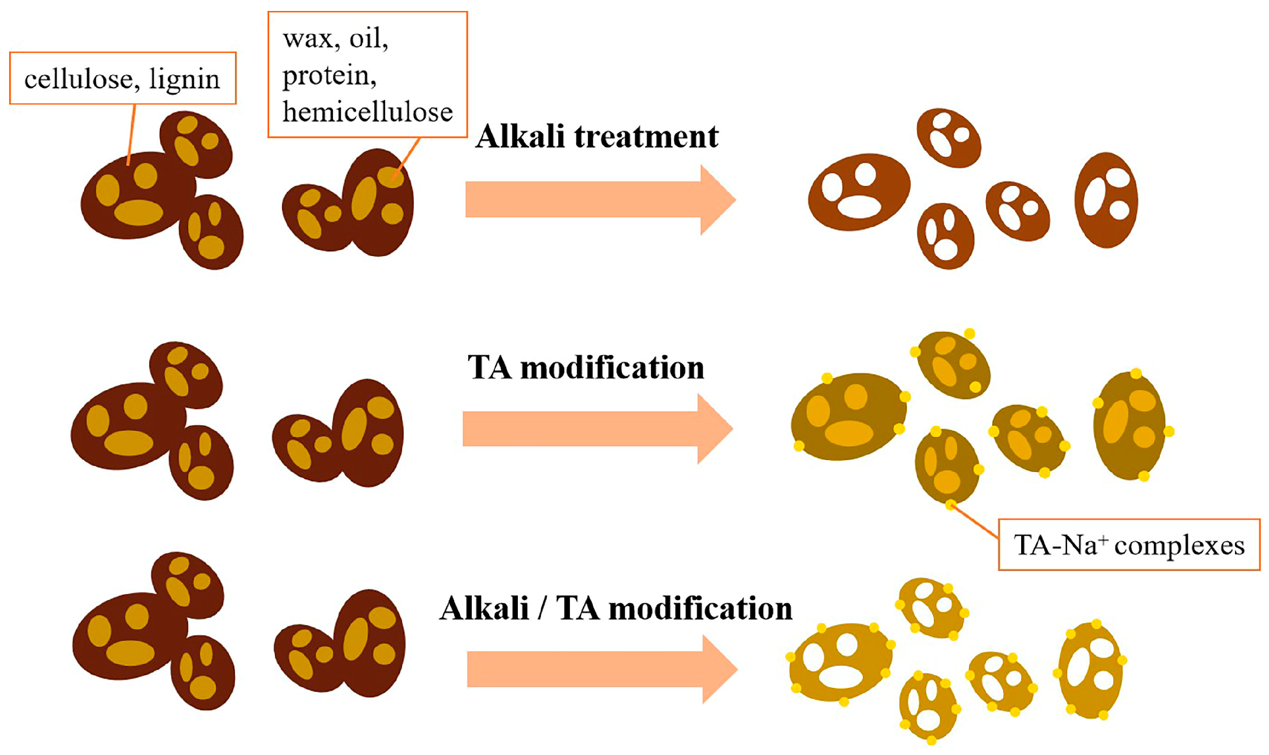 Polymers 15 02769 g007 Polymers 15 02769 g007