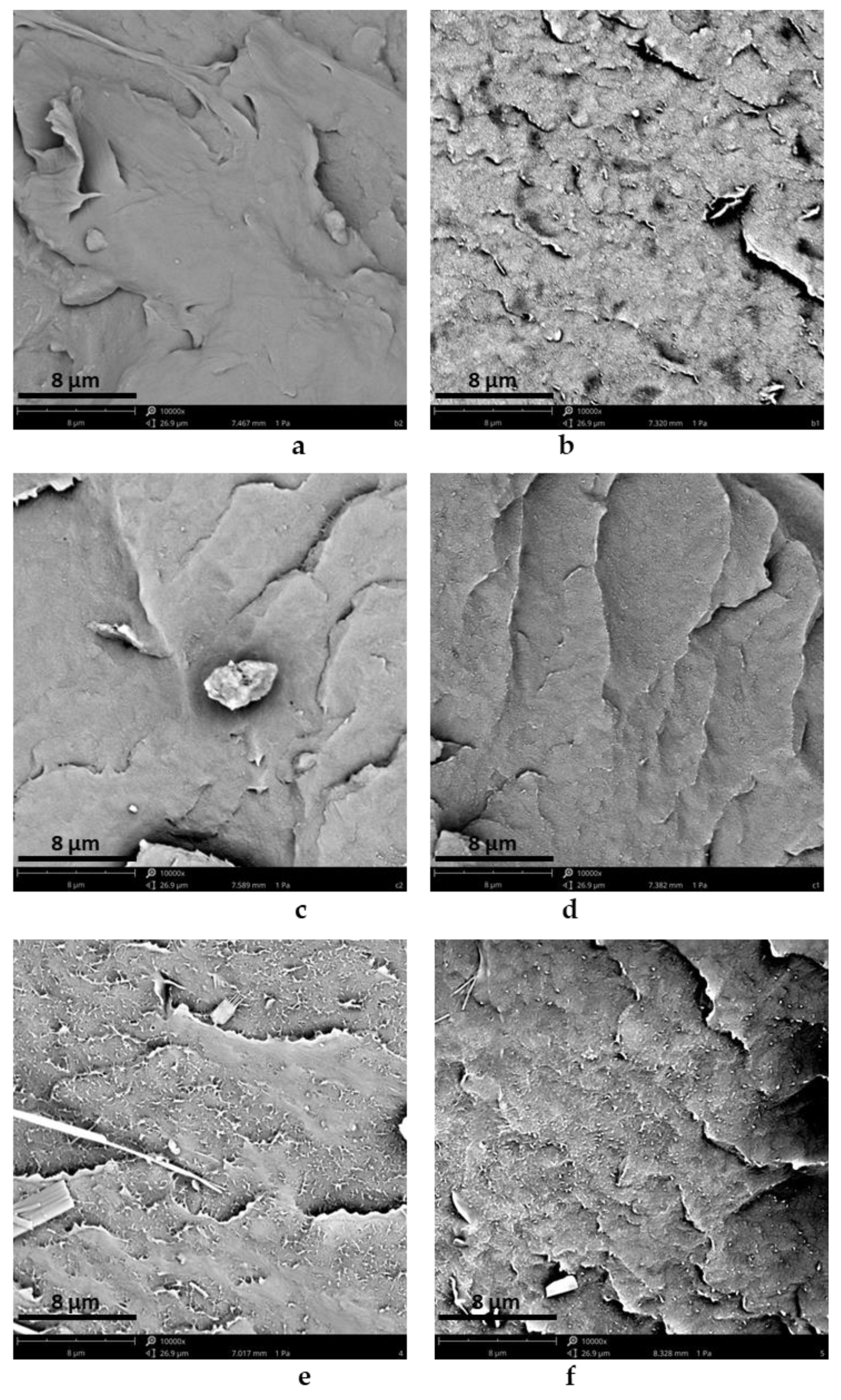 Polymers 15 02770 g004