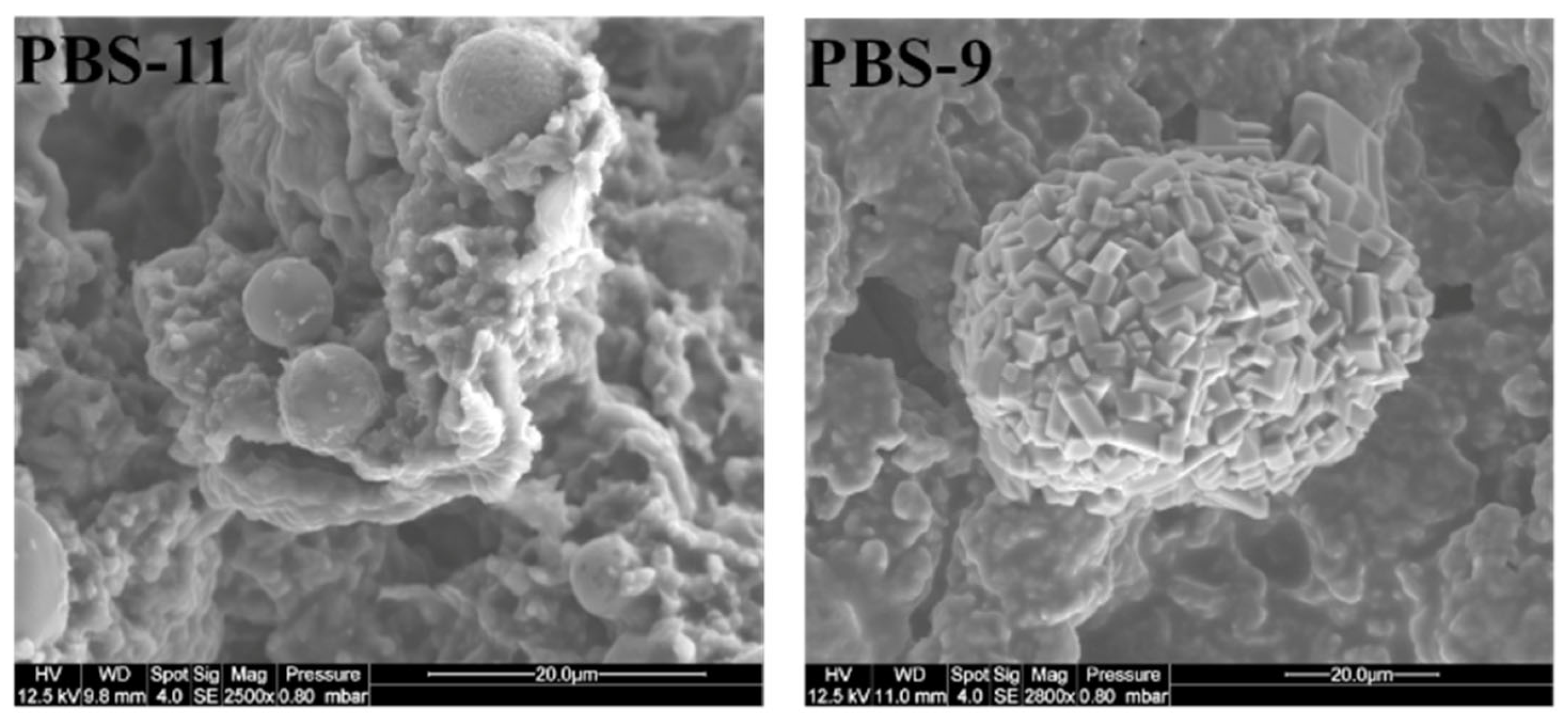 Polymers 15 02771 g011 Polymers 15 02771 g011