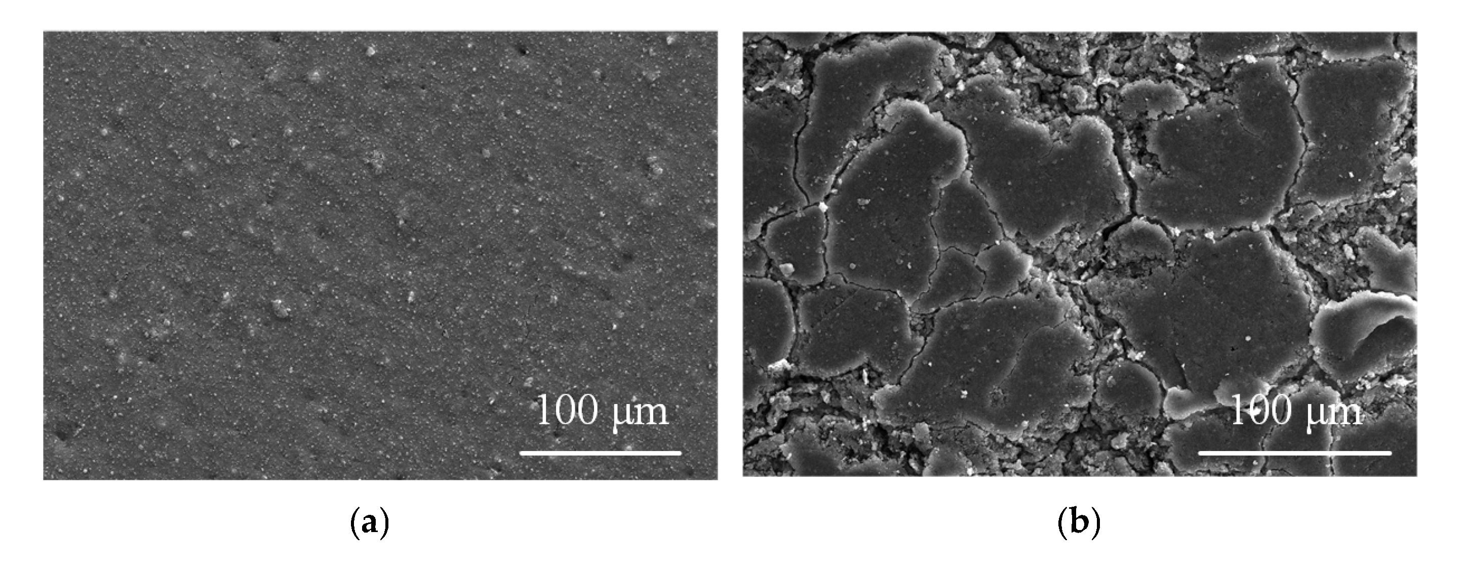 Polymers 15 02772 g013