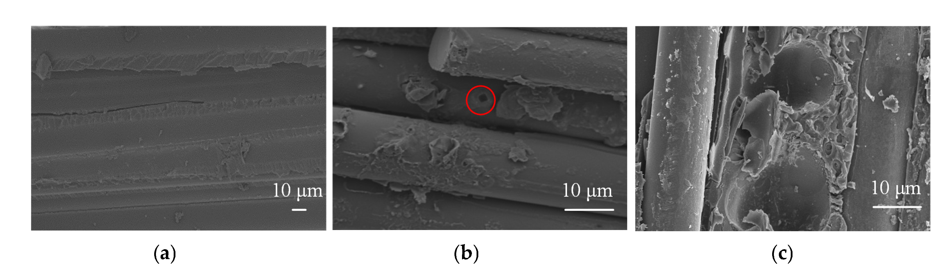 Polymers 15 02772 g014