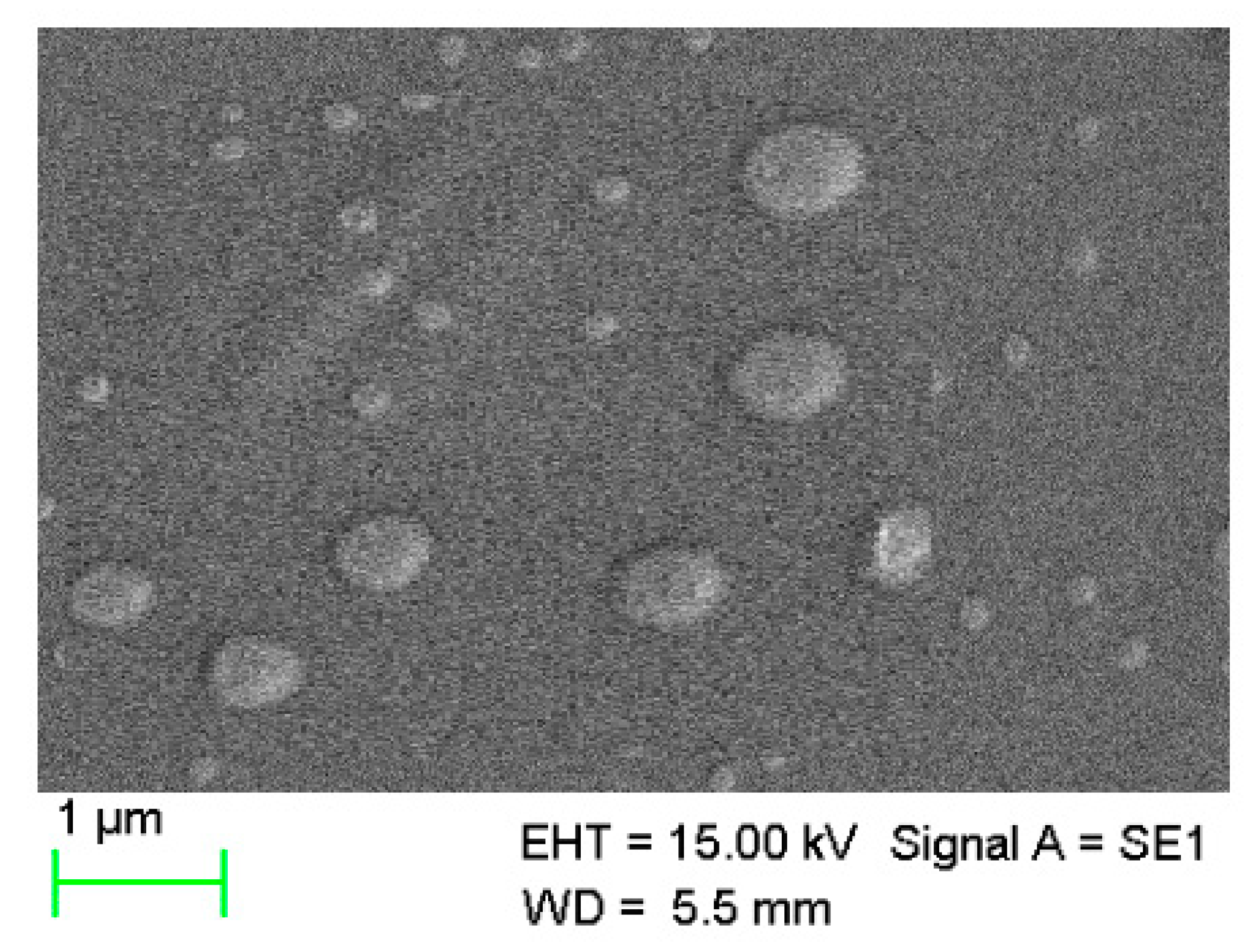 Polymers 15 02773 g003