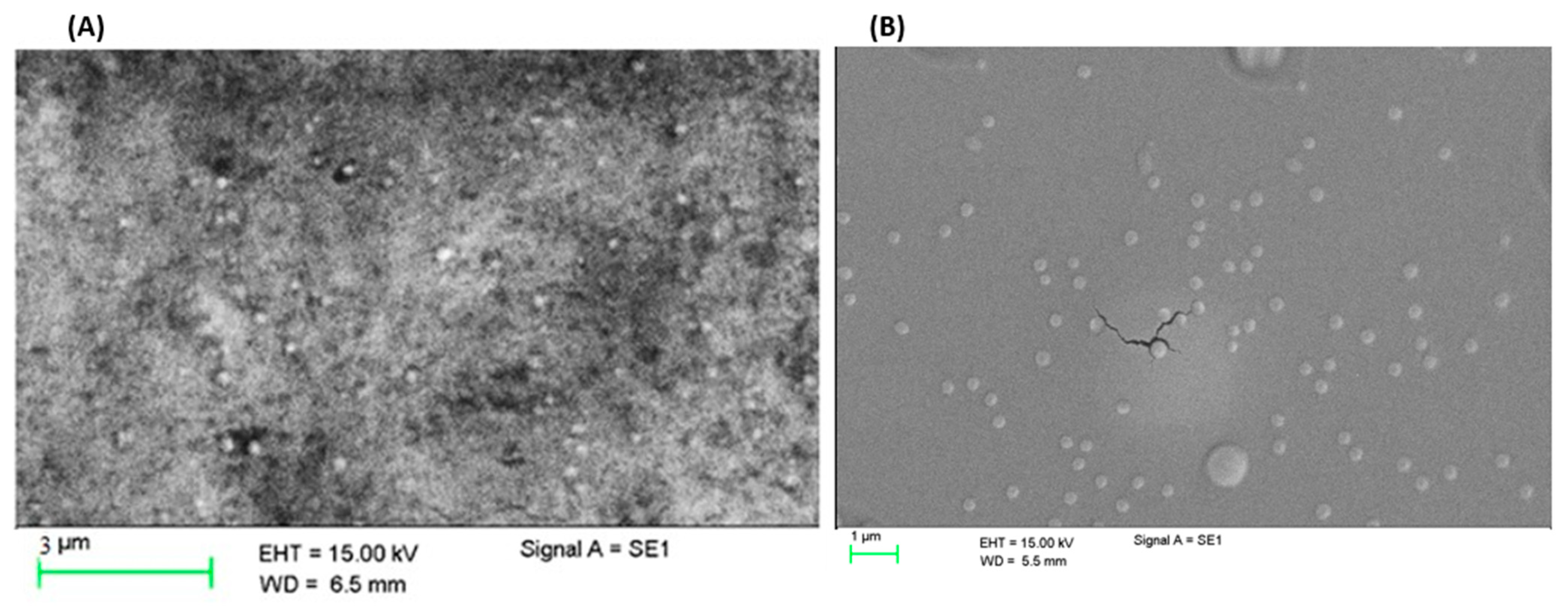 Polymers 15 02773 g004