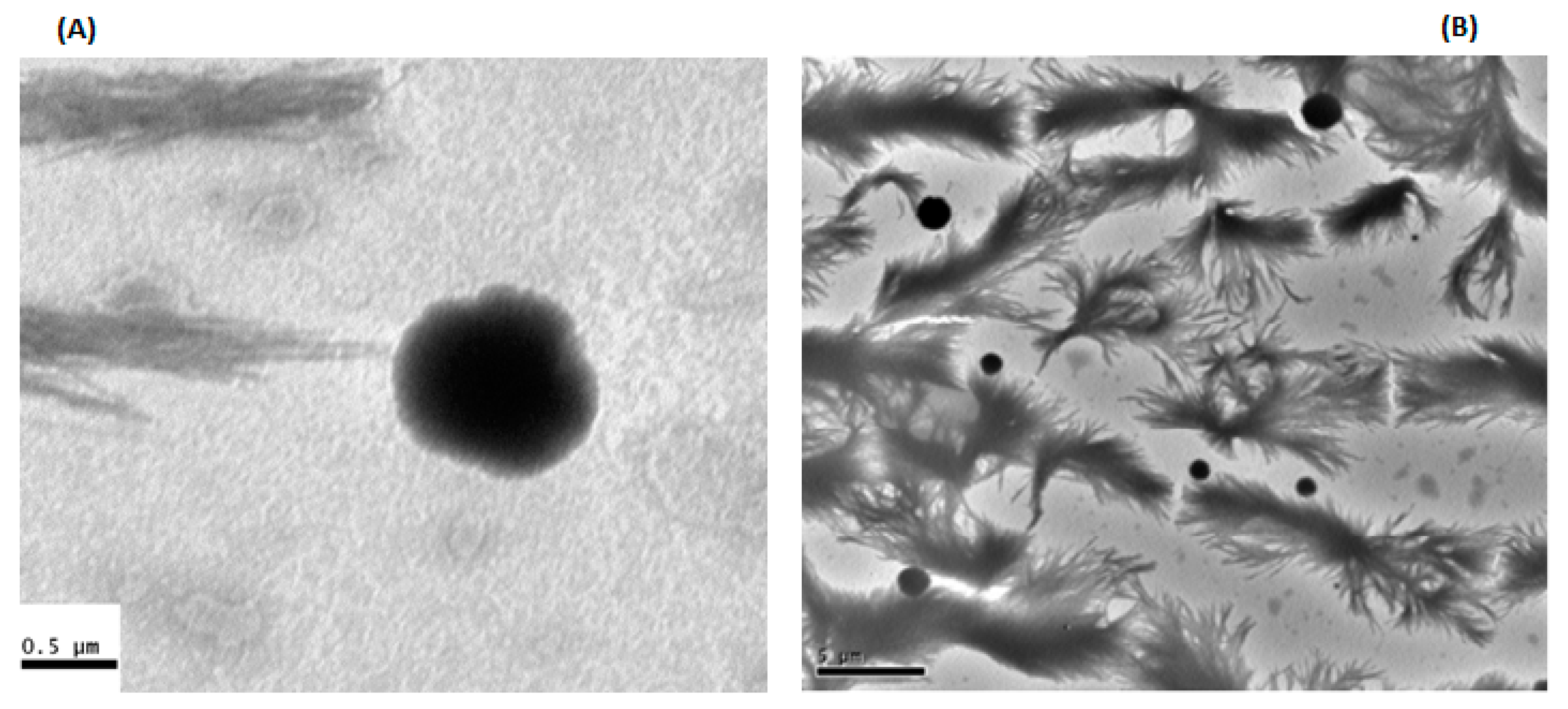 Polymers 15 02773 g005