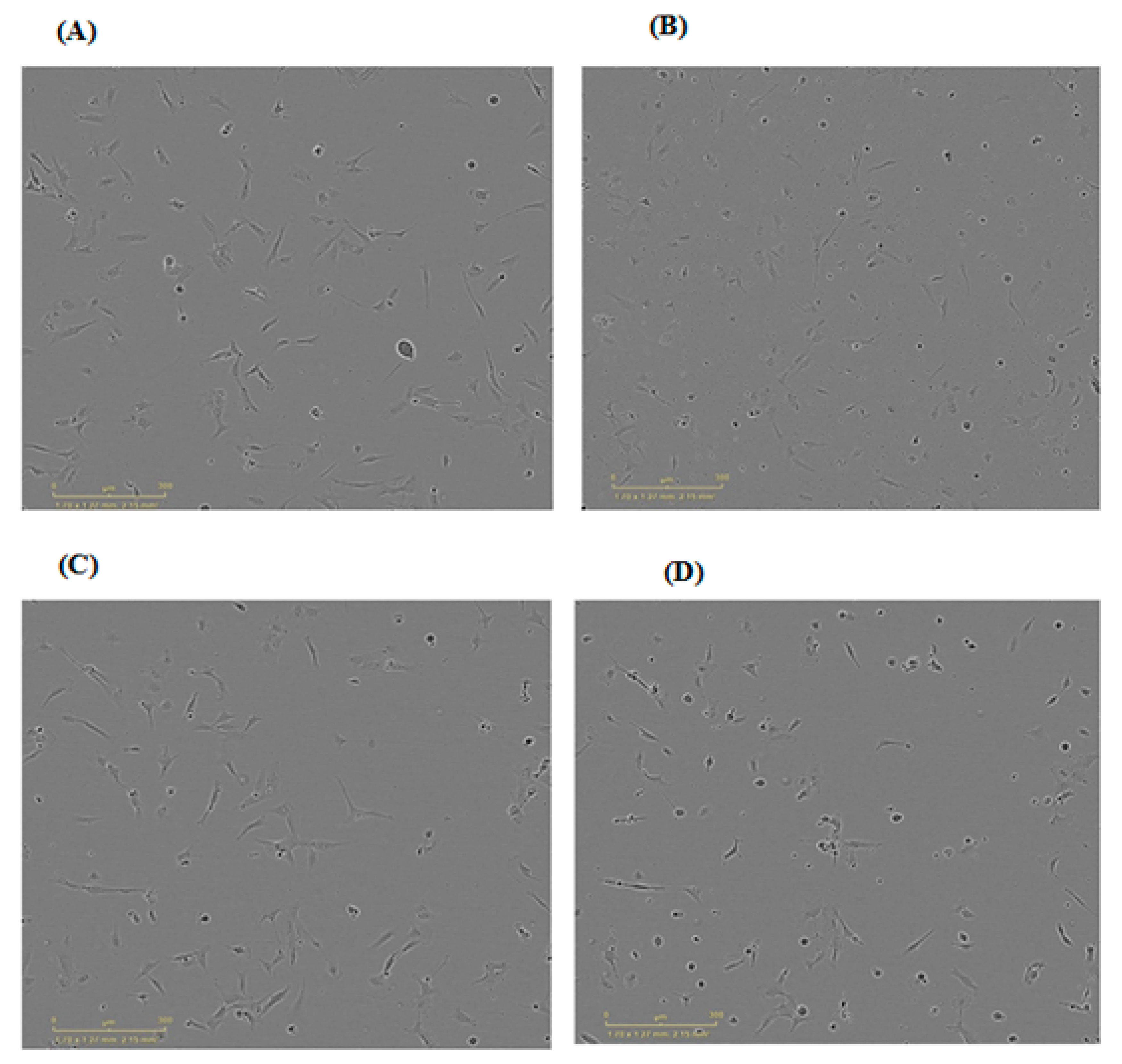 Polymers 15 02773 g012