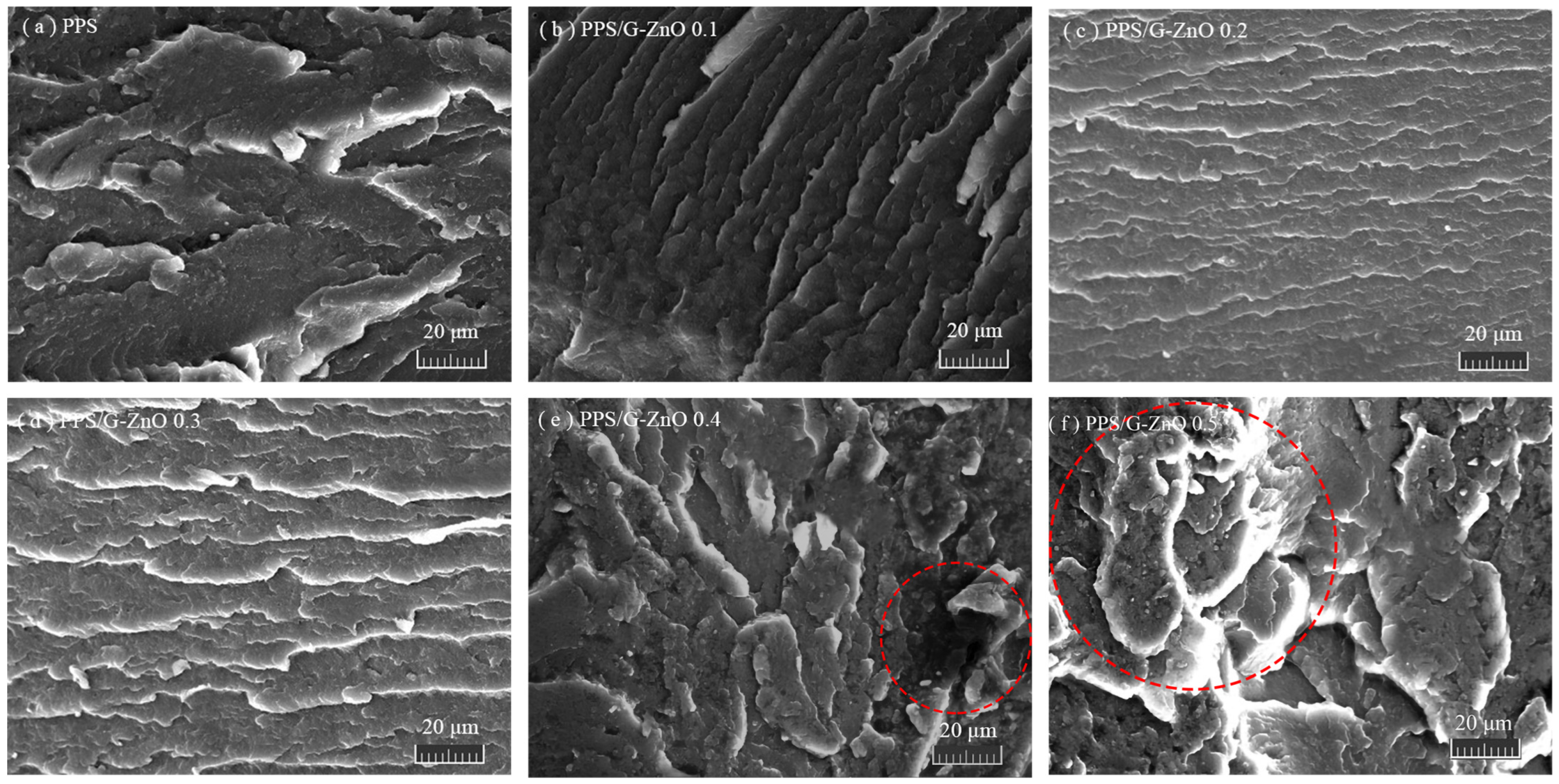 Polymers 15 02779 g005