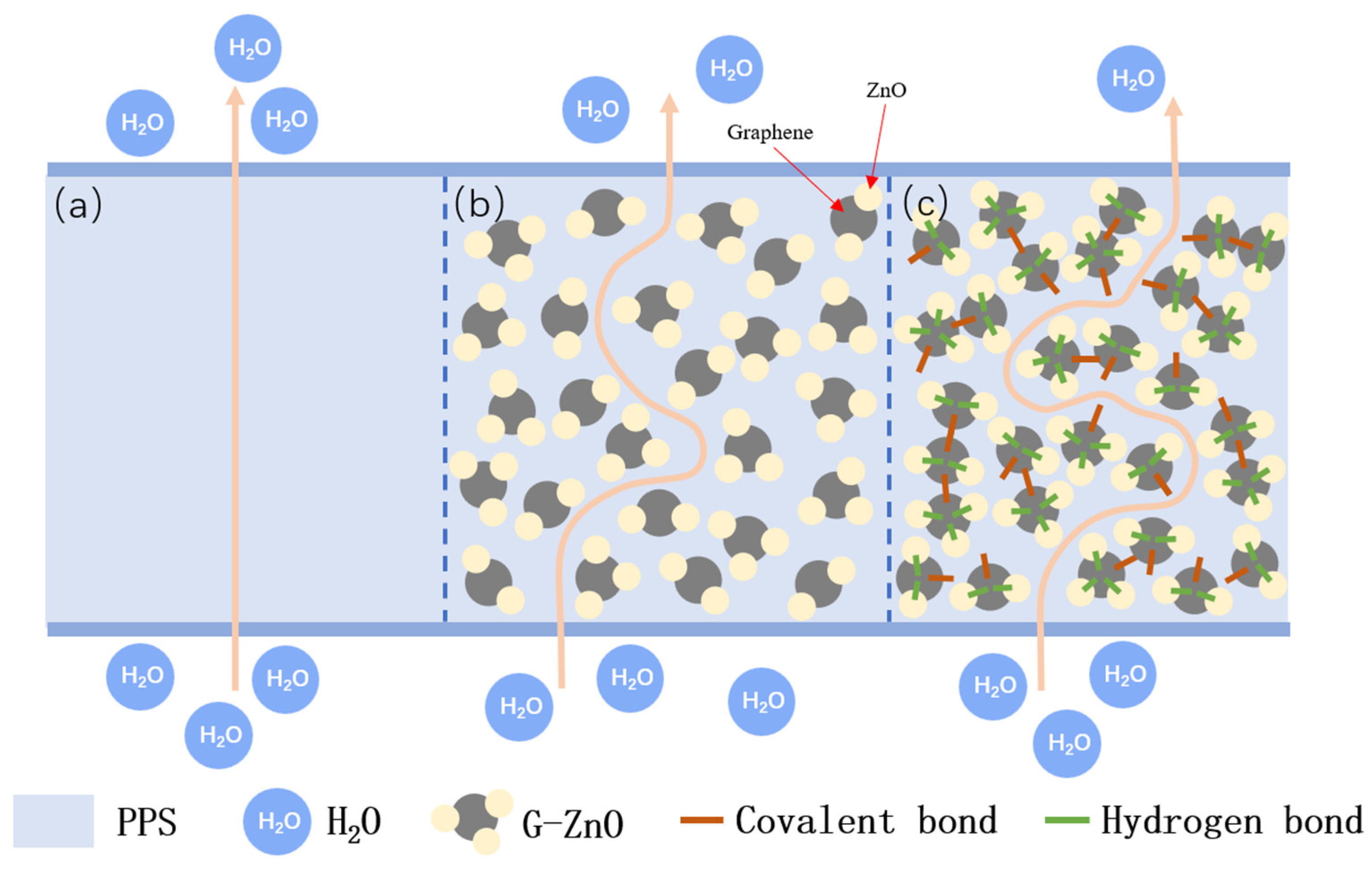 Polymers 15 02779 g010