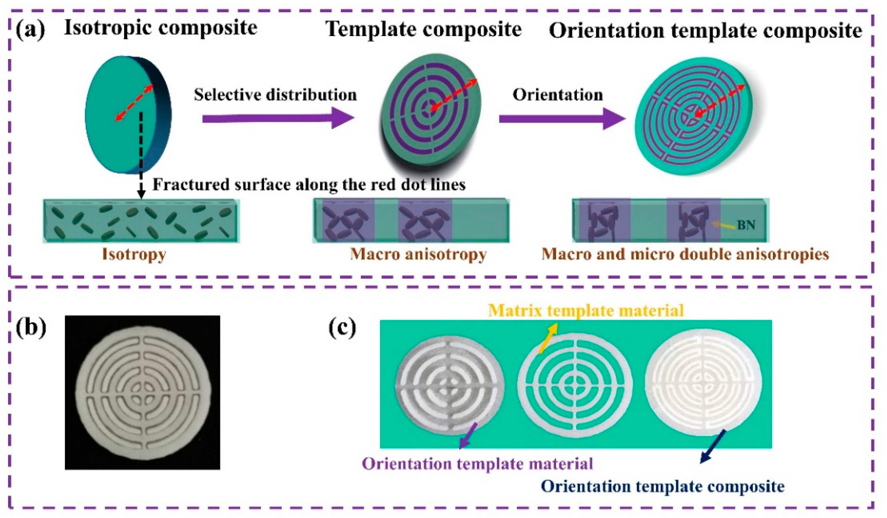 Polymers 15 02780 g002 550