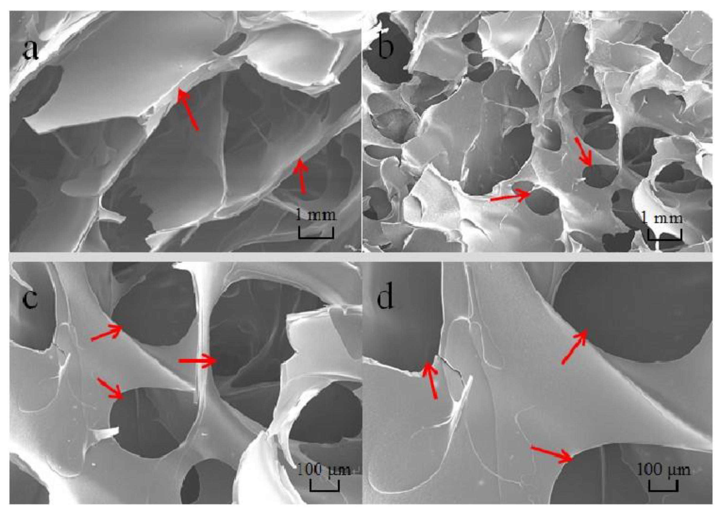 Polymers 15 02784 g004 Polymers 15 02784 g004