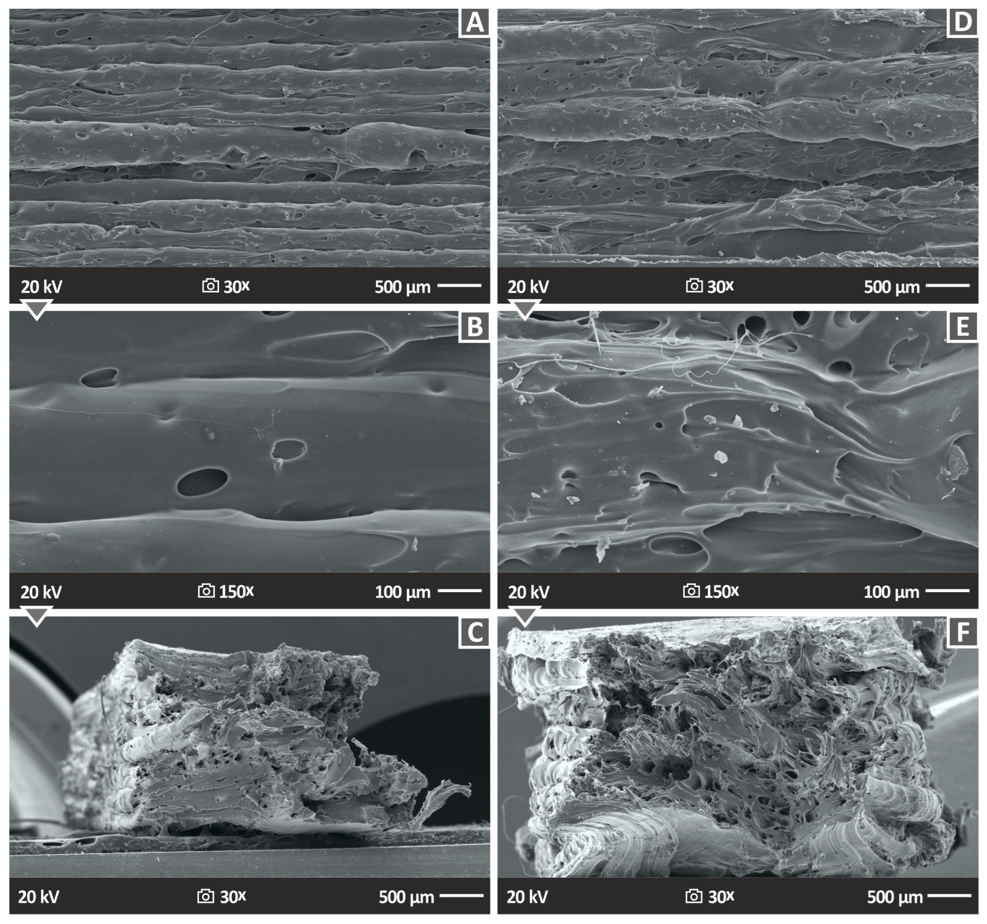 Polymers 15 02786 g014 Polymers 15 02786 g014