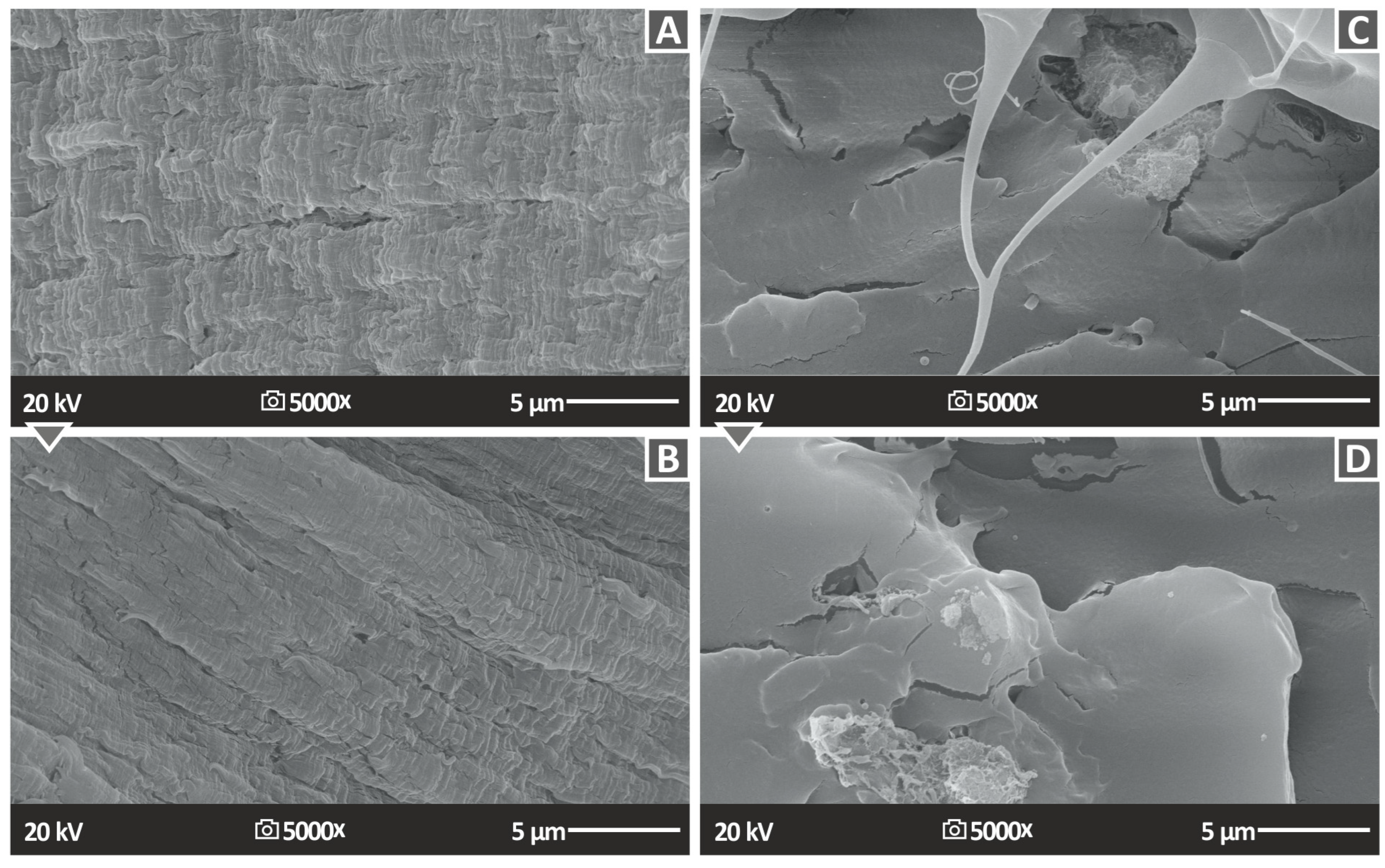 Polymers 15 02786 g016 Polymers 15 02786 g016