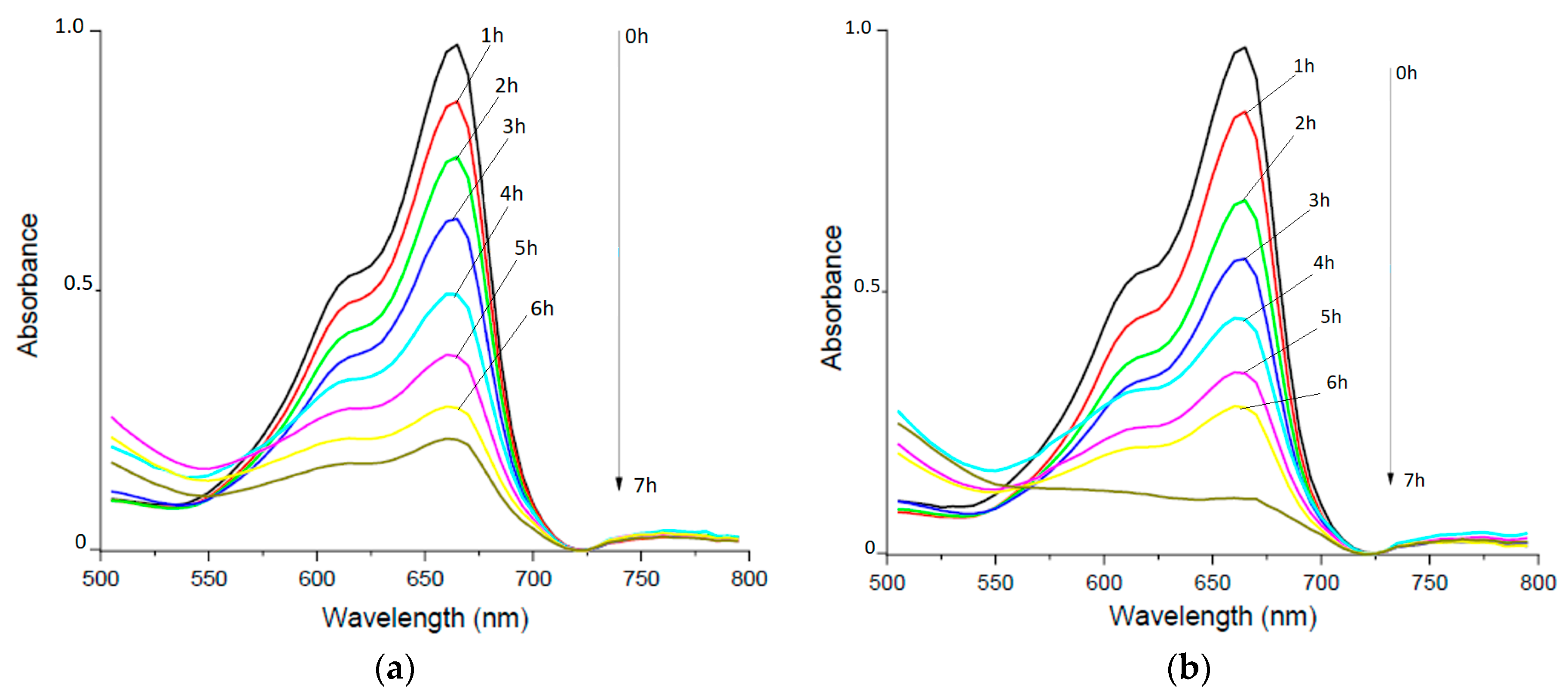 Polymers 15 02787 g005