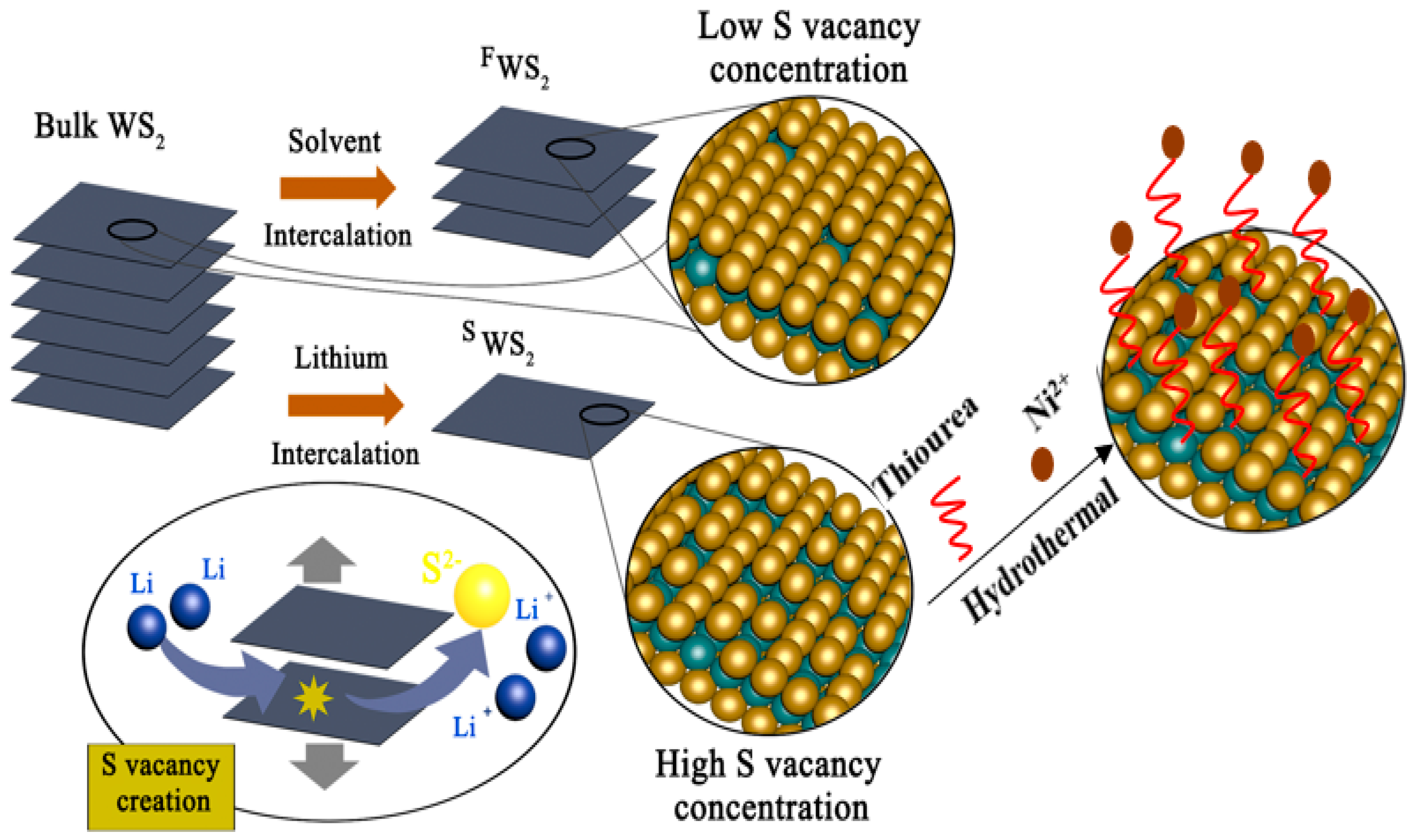 Polymers 15 02791 g001