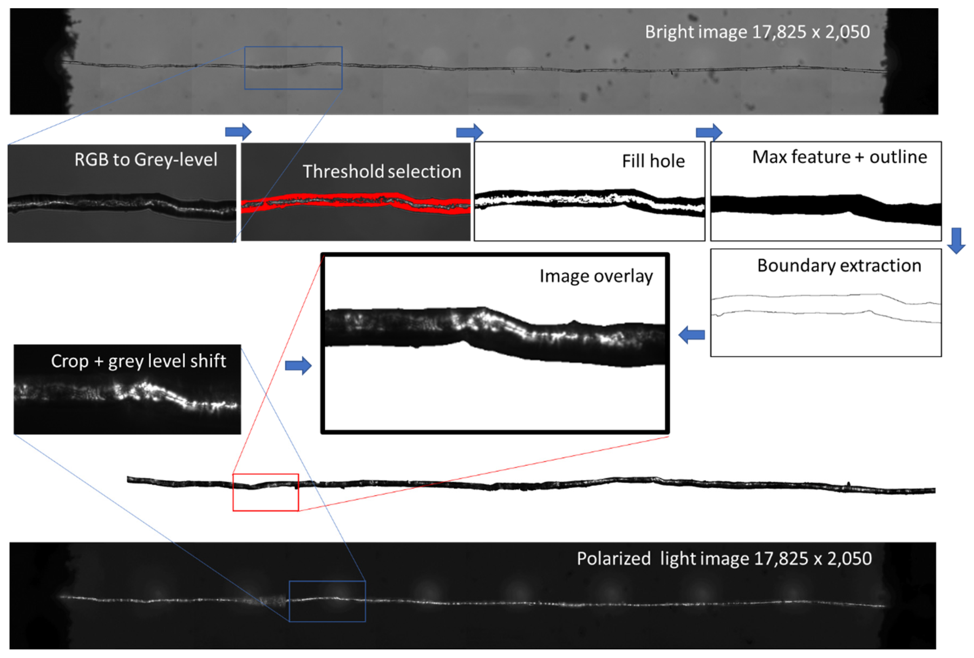 Polymers 15 02794 g001