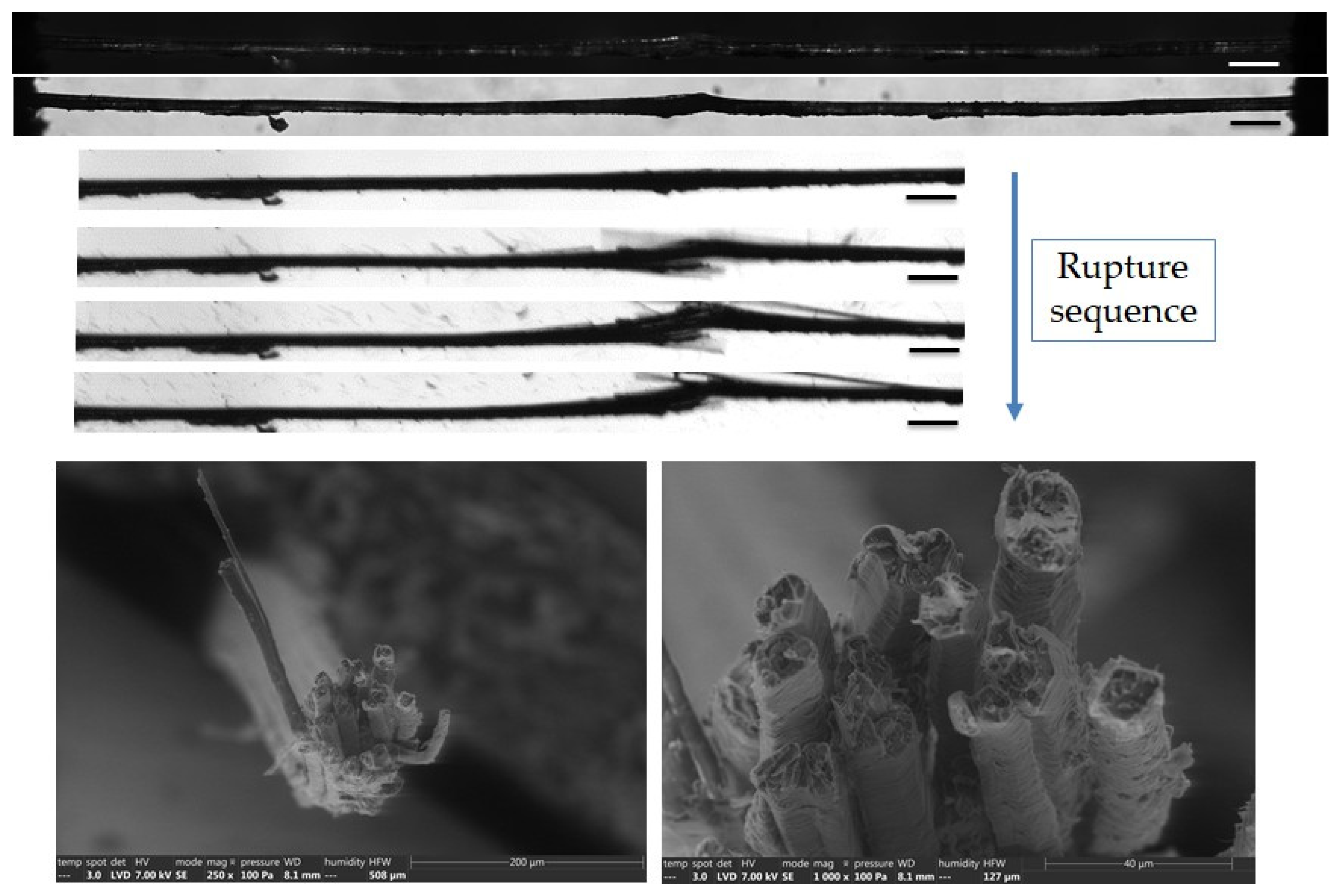 Polymers 15 02794 g011
