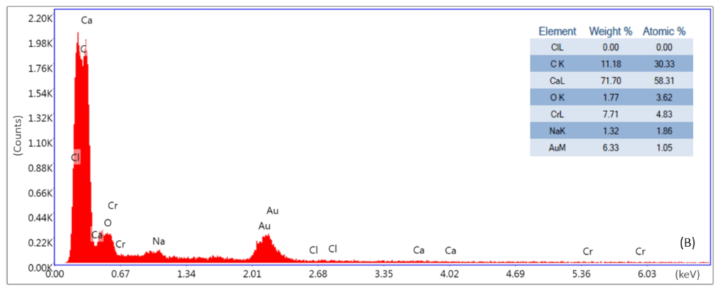 Polymers 15 02795 g010b Polymers 15 02795 g010b