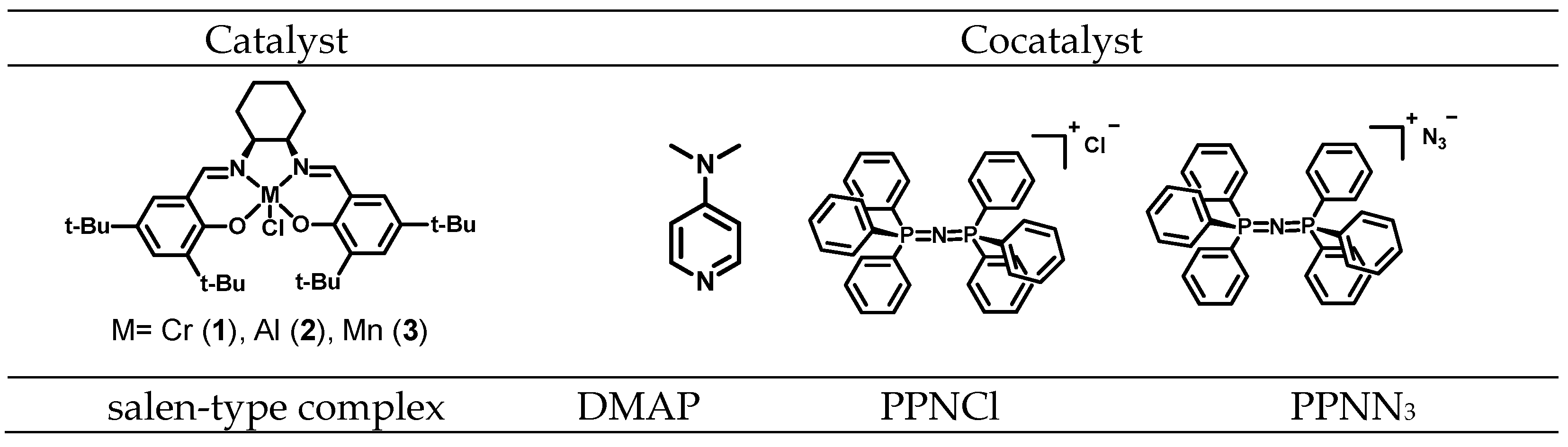 Polymers 15 02801 g001