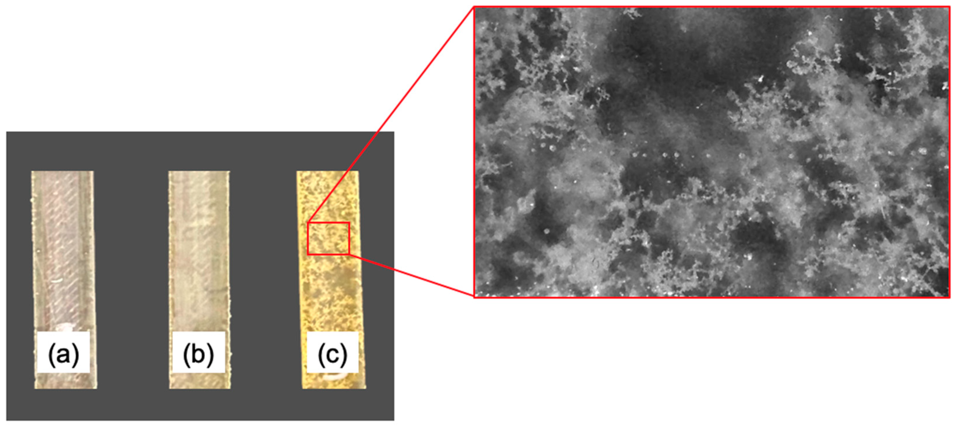 Polymers 15 02809 g019 Polymers 15 02809 g019