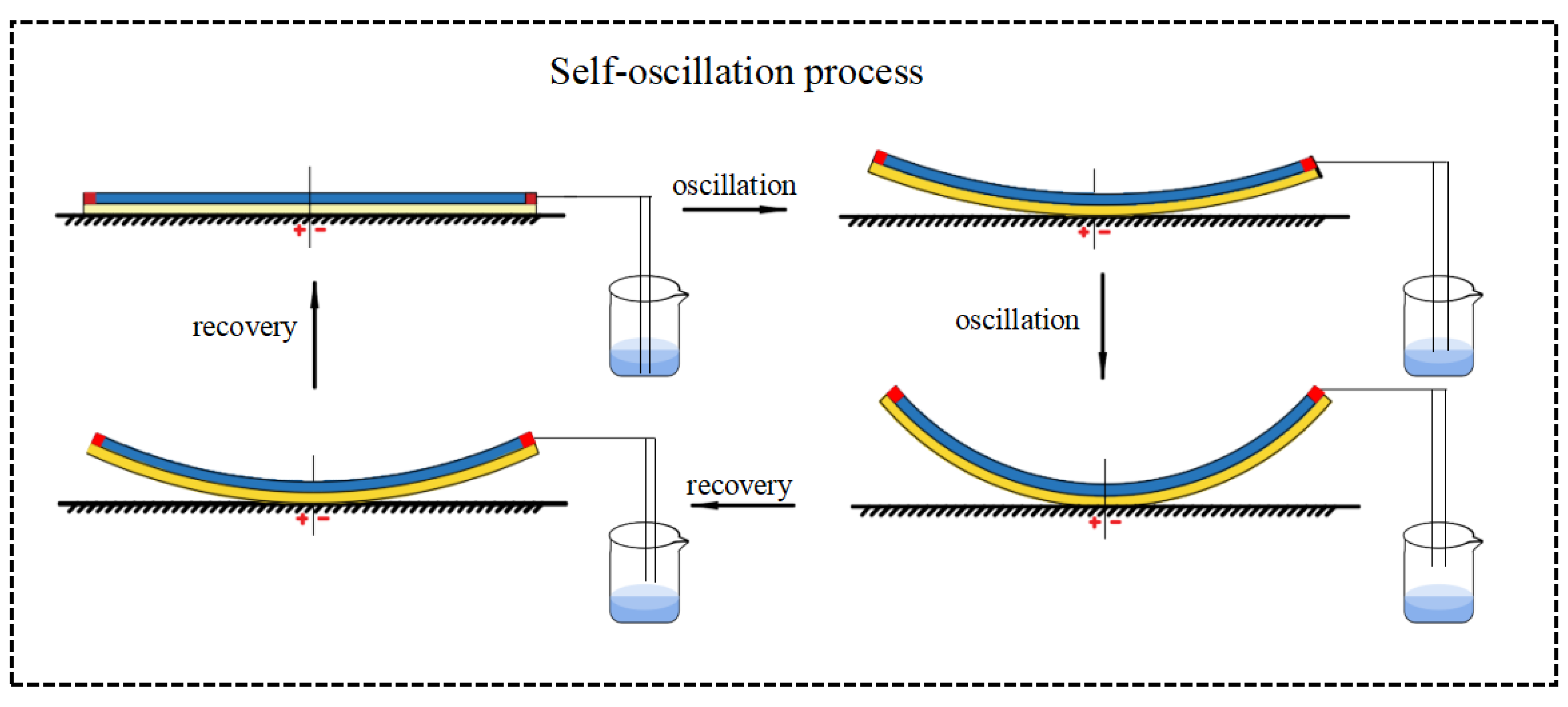 Polymers Free FullText SelfSustained Oscillation of
