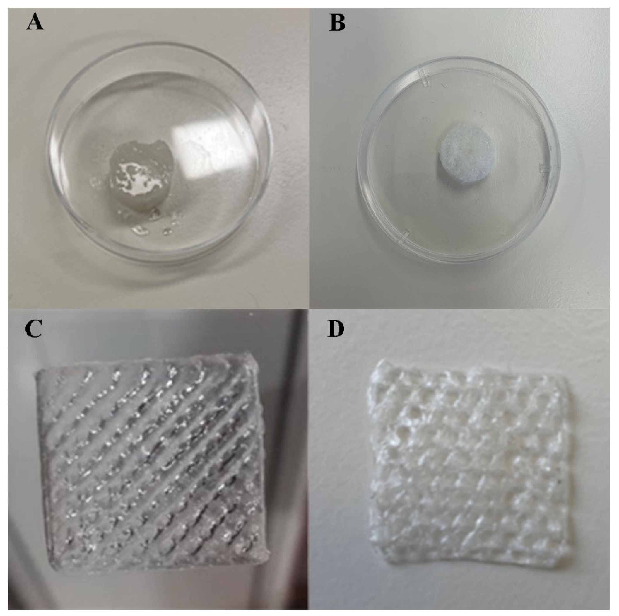 Polymers 15 02824 g001 Polymers 15 02824 g001