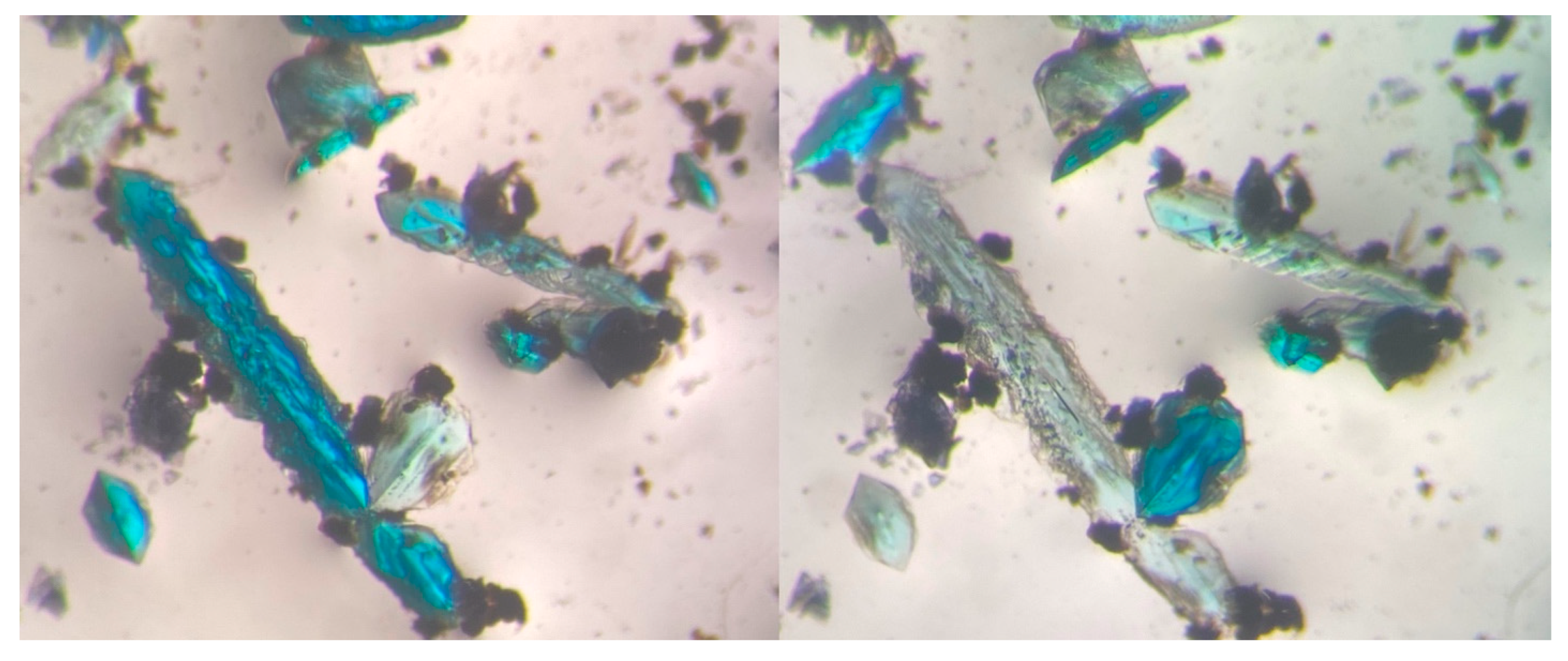 Polymers 15 02827 g001