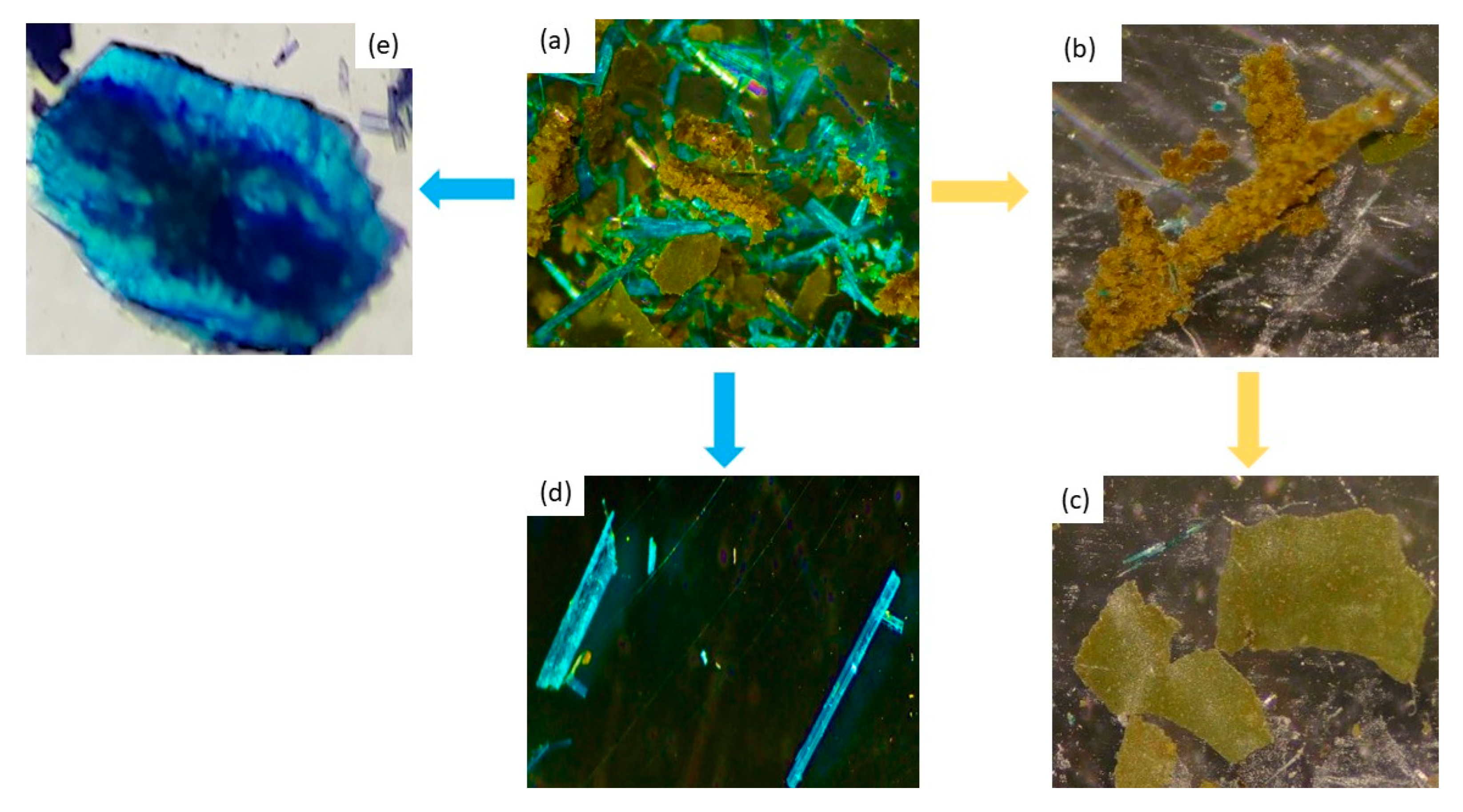 Polymers 15 02827 g002
